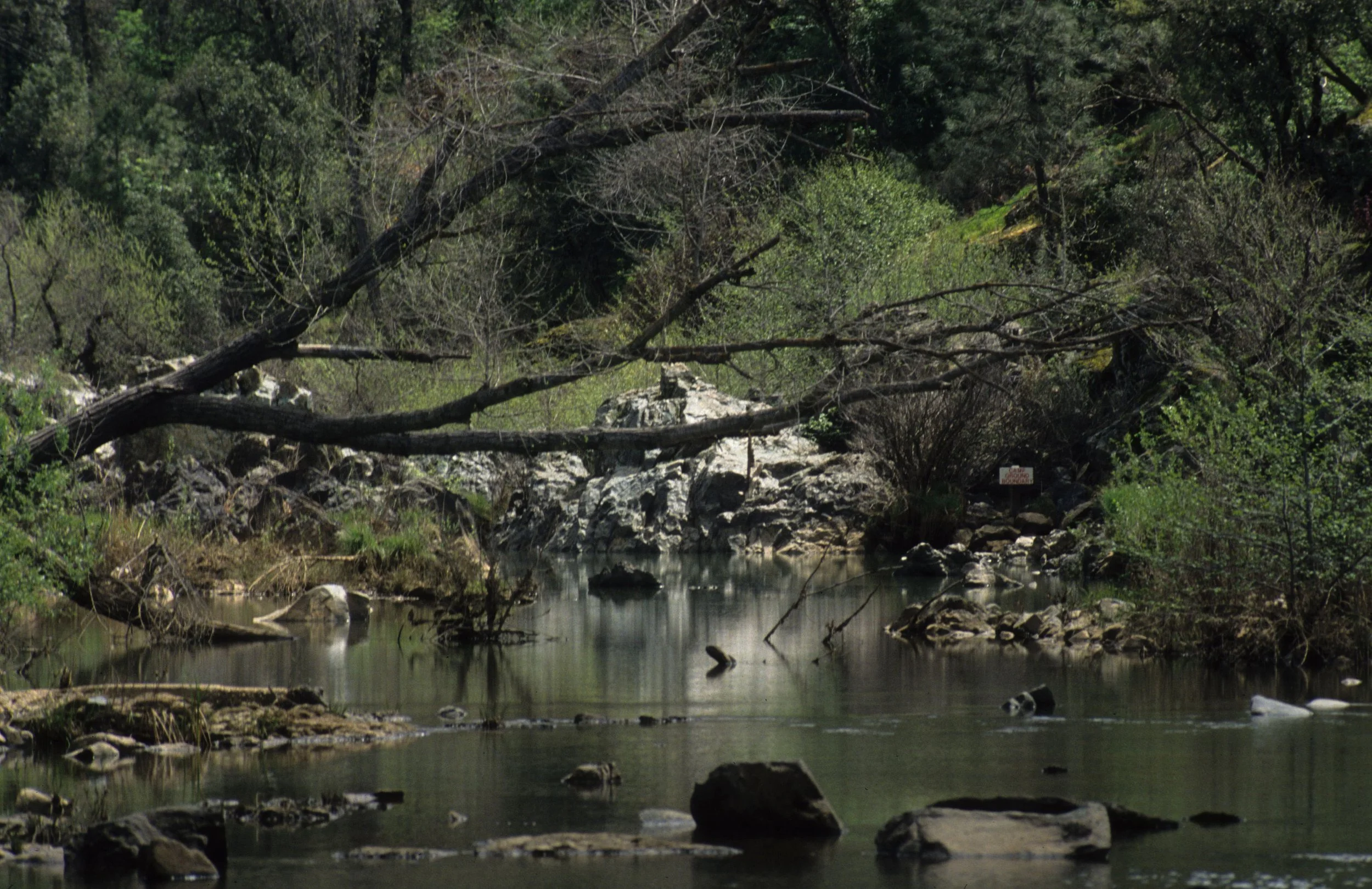 AMERICAN RIVER - SIDE CHANNEL.jpg