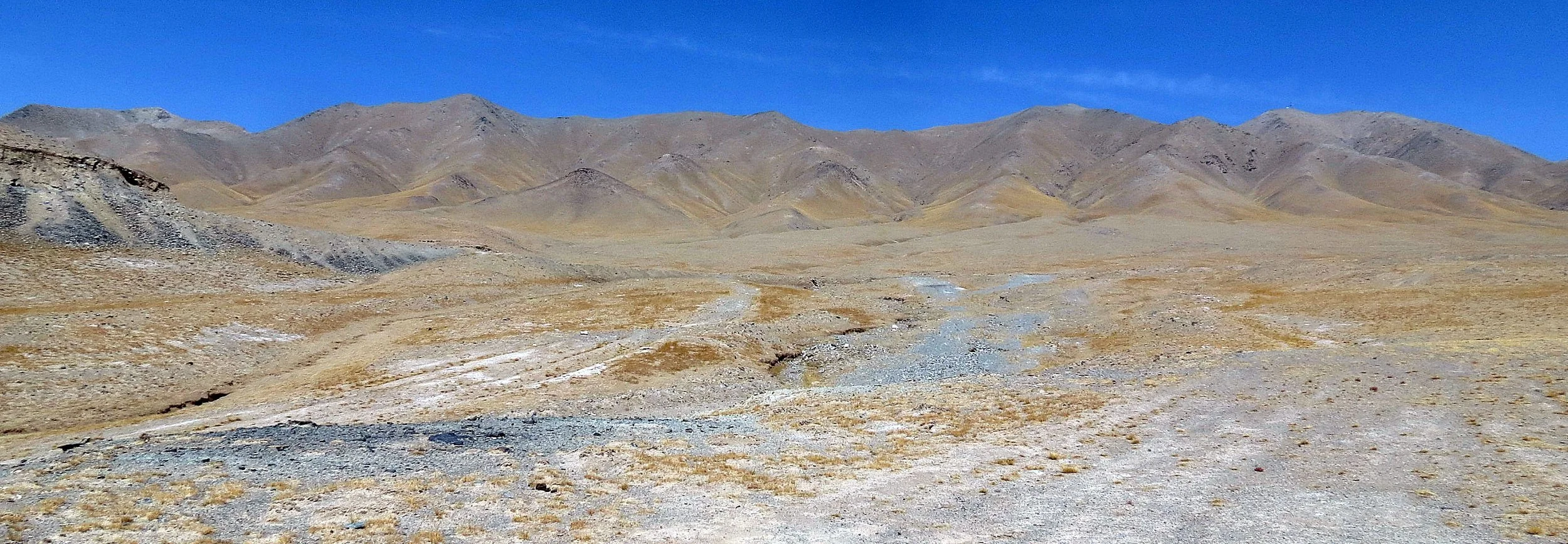 QINGHAI - ALTUN SHAN MOUNTAINS NATIONAL NATURE RESERVE - CHINA (9).JPG