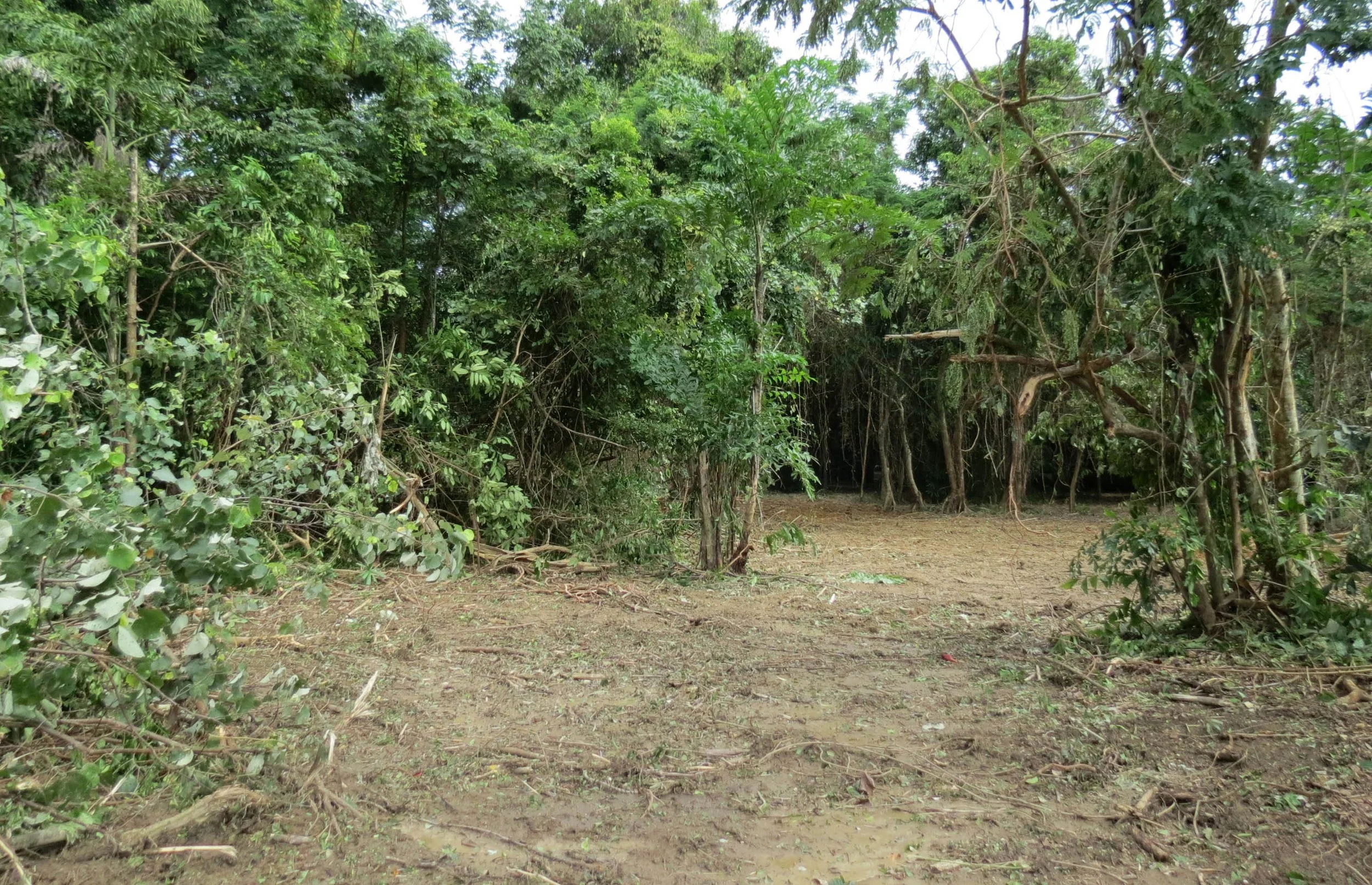 2014 Koh Lanta Build (27).JPG