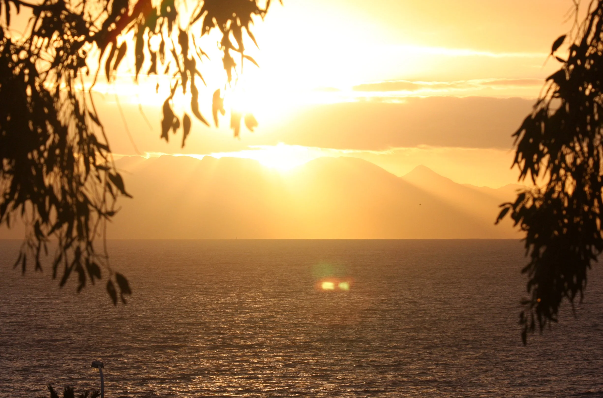 TABLE MOUNTAIN NATIONAL PARK SOUTH AFRICA - SUNSET OR SUNRISE.JPG