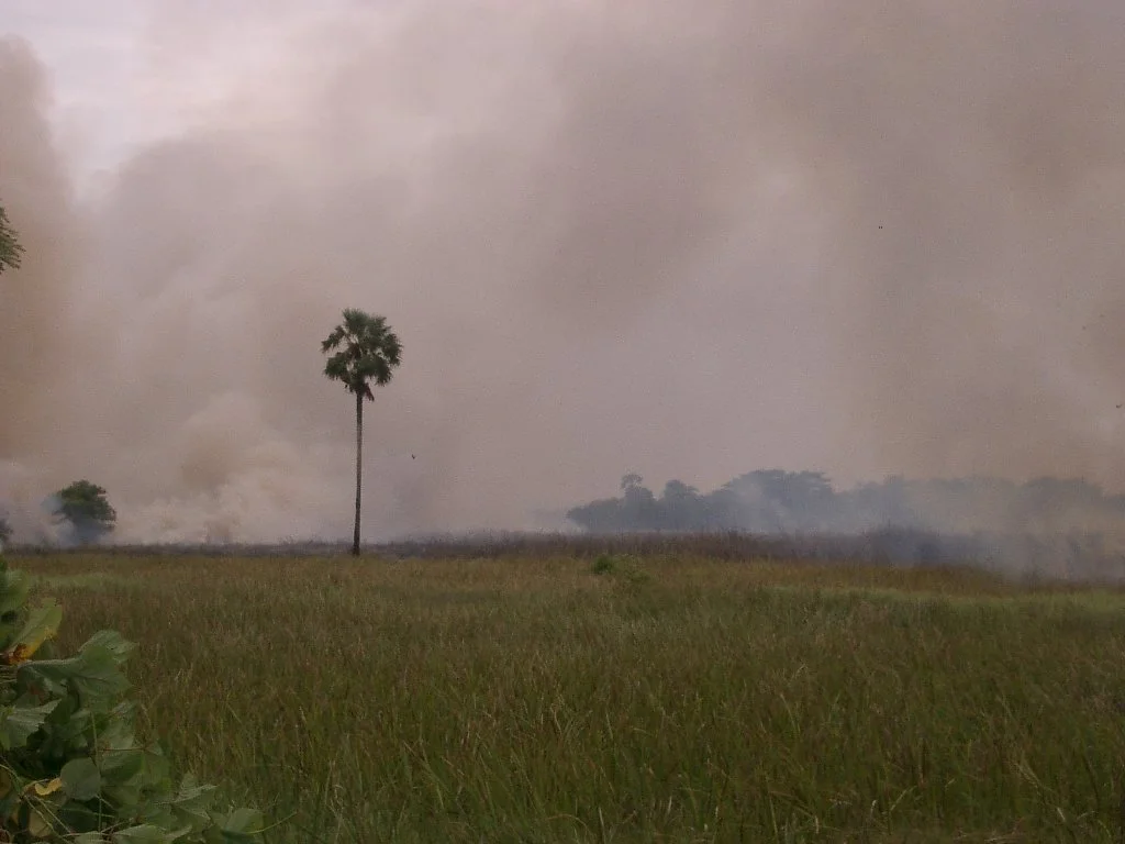 2004 Nakhonsithammarat with Family  (17).JPG