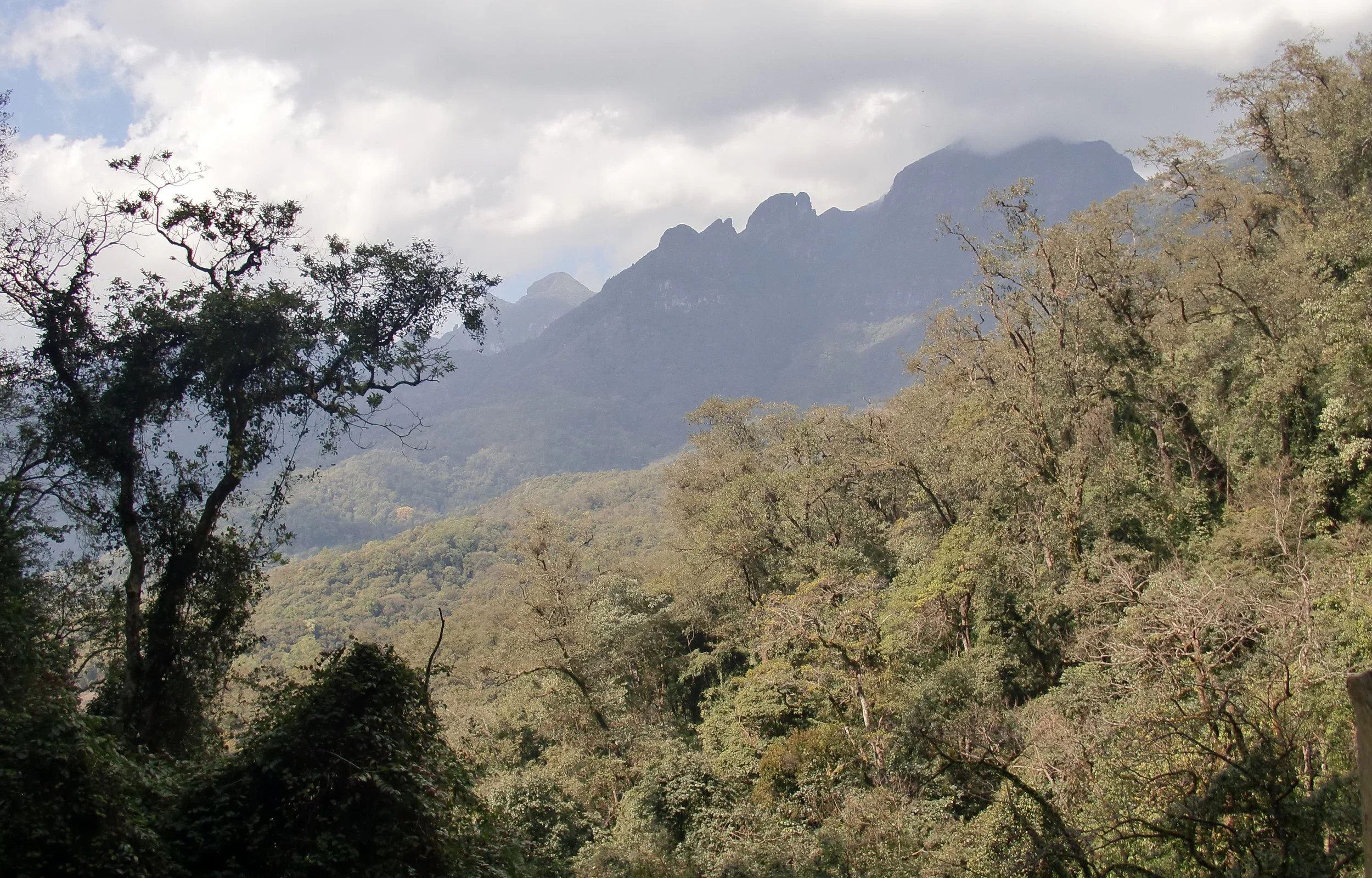 YUNNAN - WULIANGSHAN NATURE RESERVE AND SURROUNDING MOUNTAINS (7).JPG