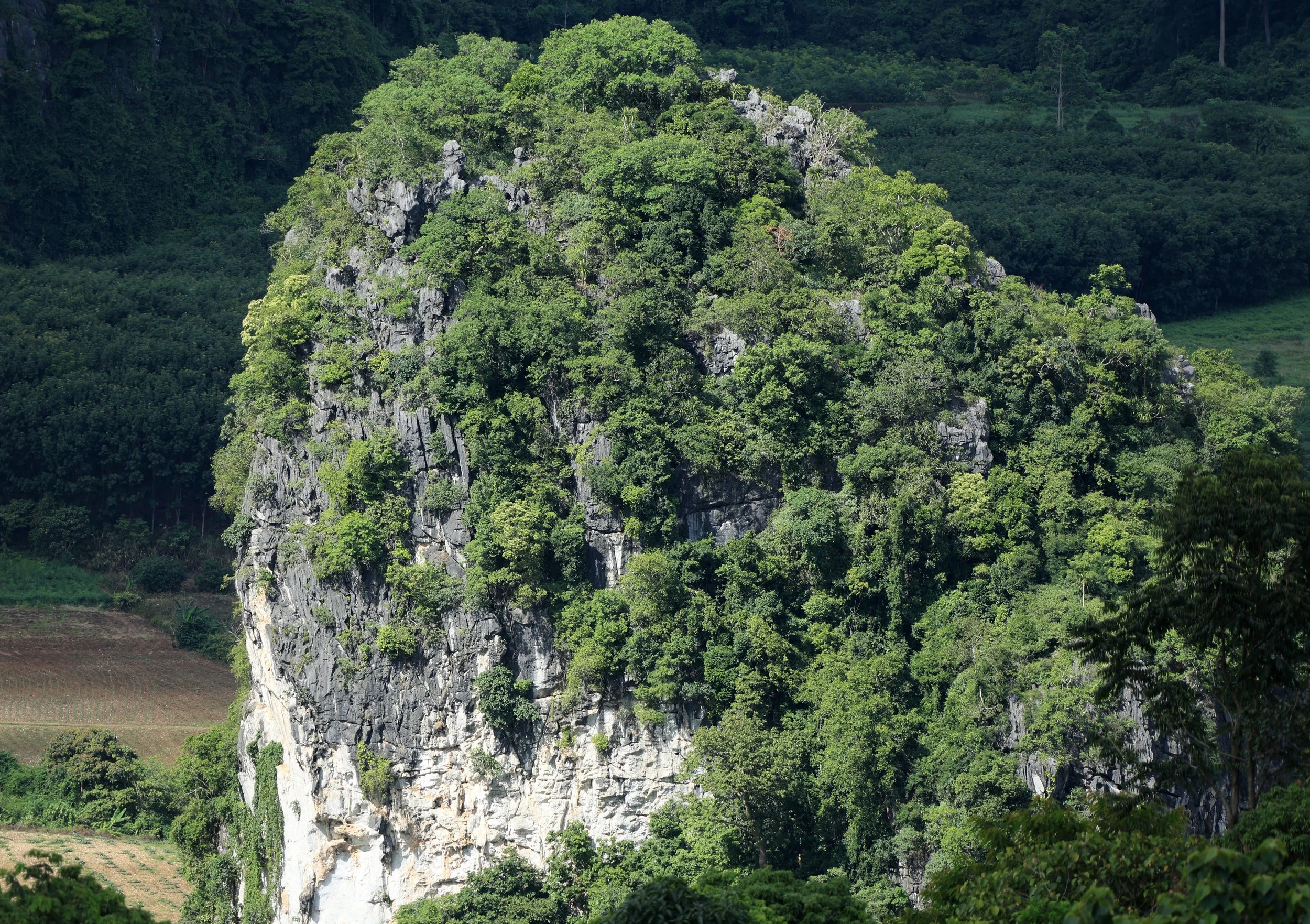 Phu Langka Viewpoint - Phayao Province Thailand (16).jpg