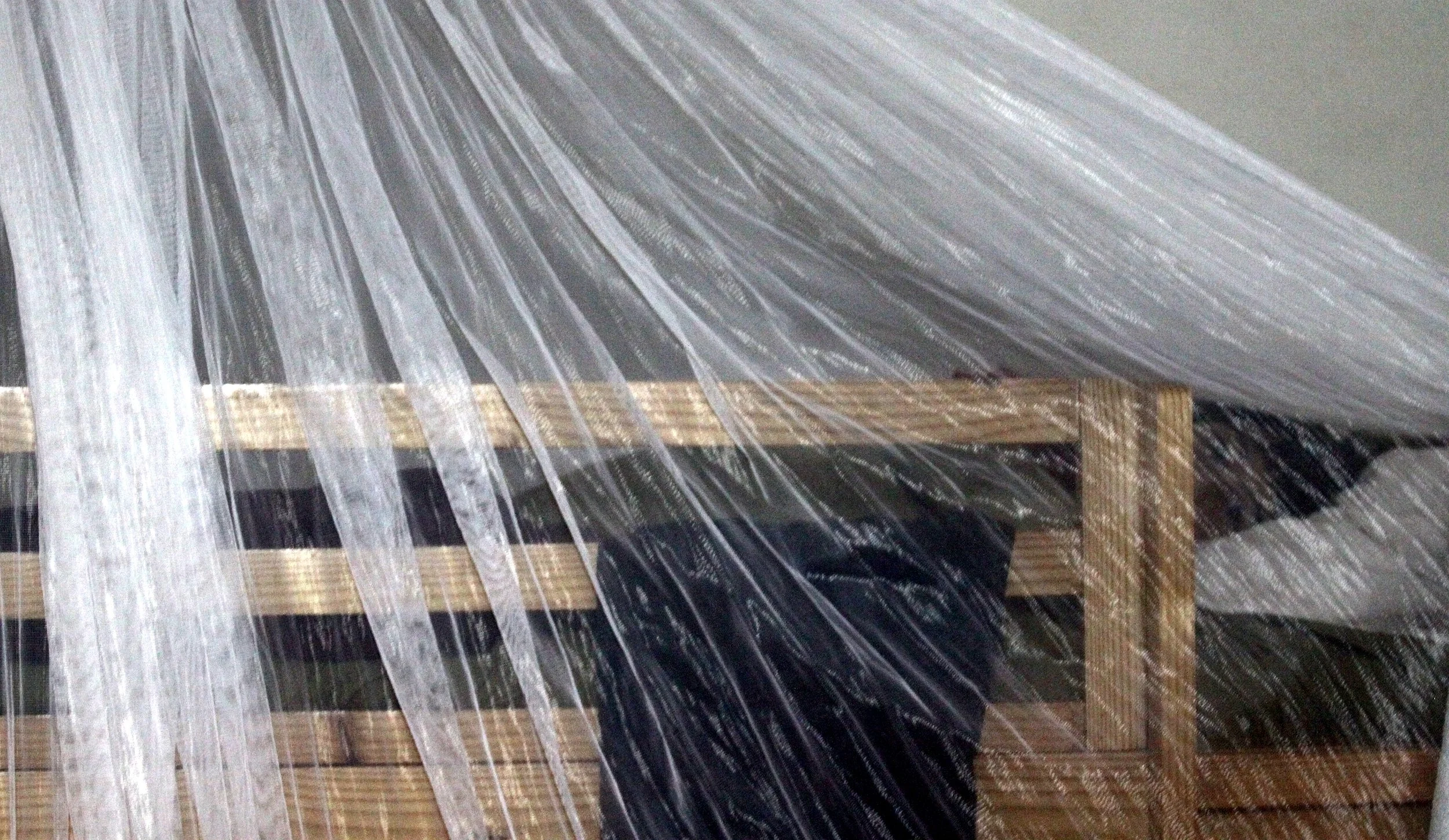 BERENTY RESERVE MADAGASCAR - MOSQUITO NET.JPG