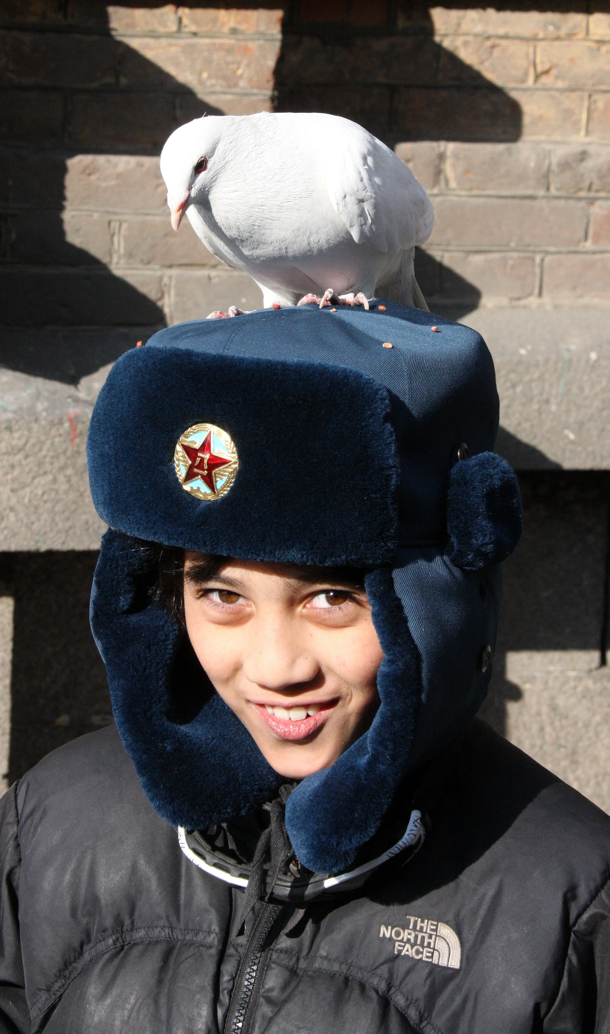 BIRD - PIGEON - HARBIN SAINT SOPHIA'S CATHEDRAL CHINA (76).JPG