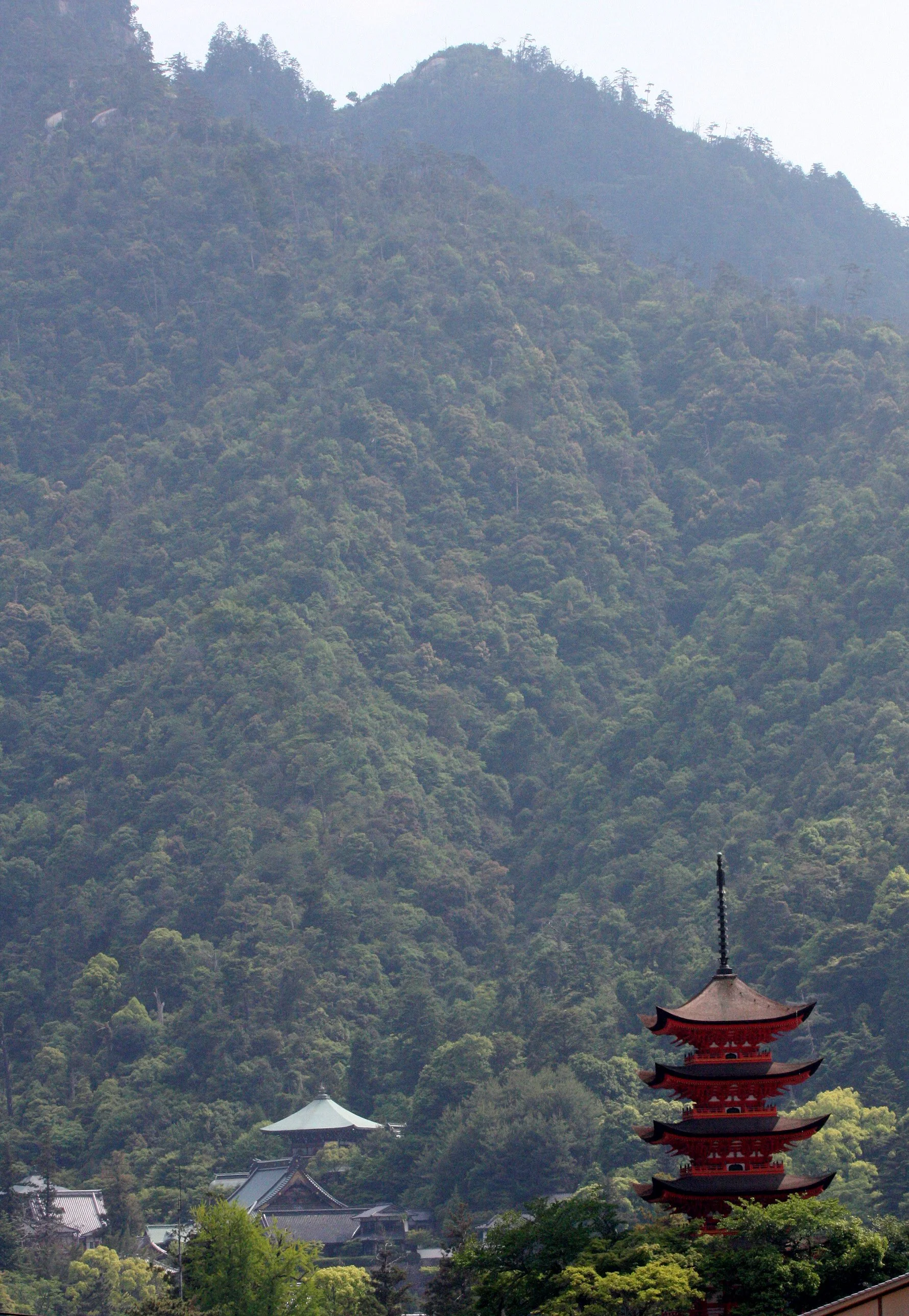 MIYAJIMA - MAY 2009 - SCENES AND LANDSCAPES (8).JPG