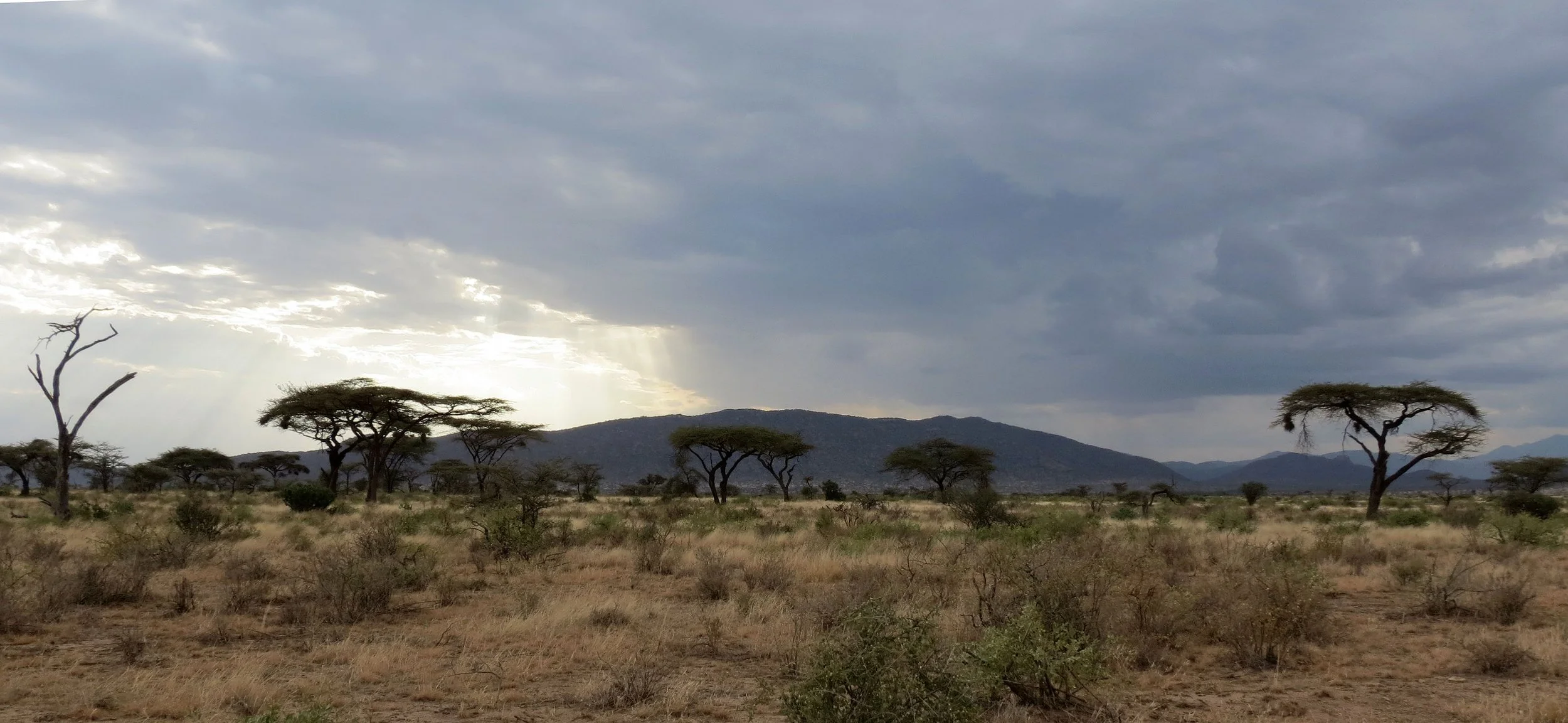 SAMBURU NATIONAL PARK KENYA (5).JPG
