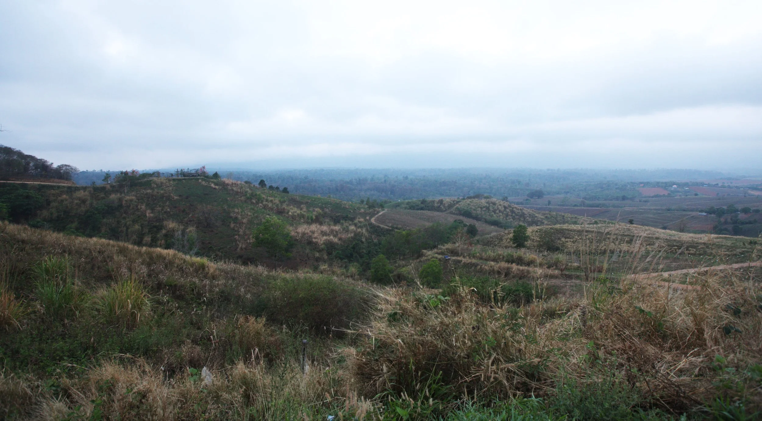 2015 Khao Pang Ma Nonhunting Area (20).JPG