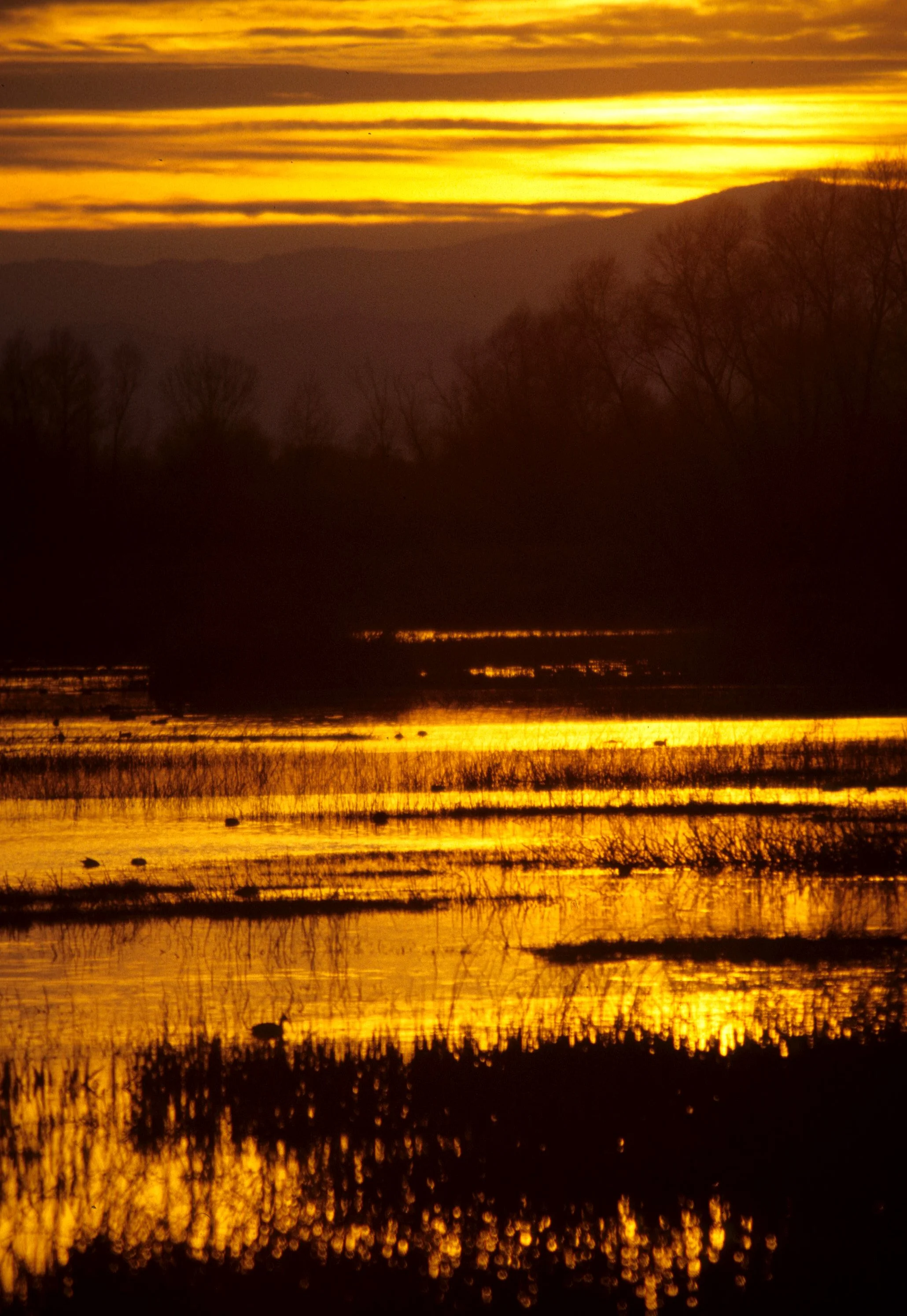 CALIFORNIA - KLAMMATH BASIN SUNSET F.jpg