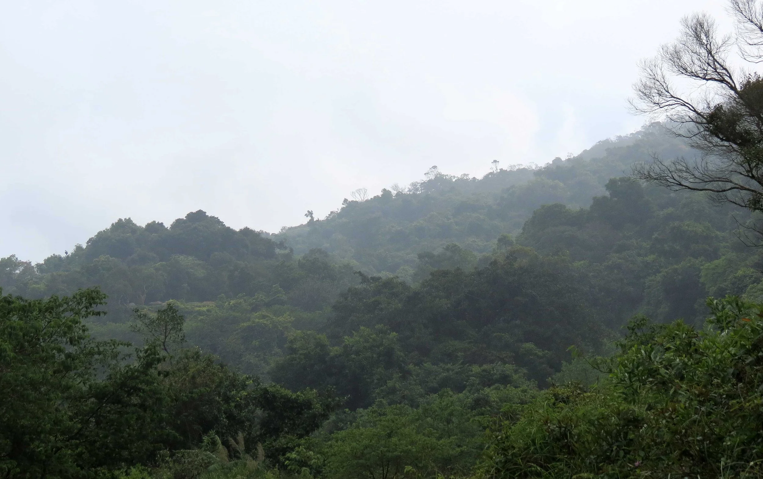 SON TRA PENINSULA - COKIE'S IMAGES (8).JPG