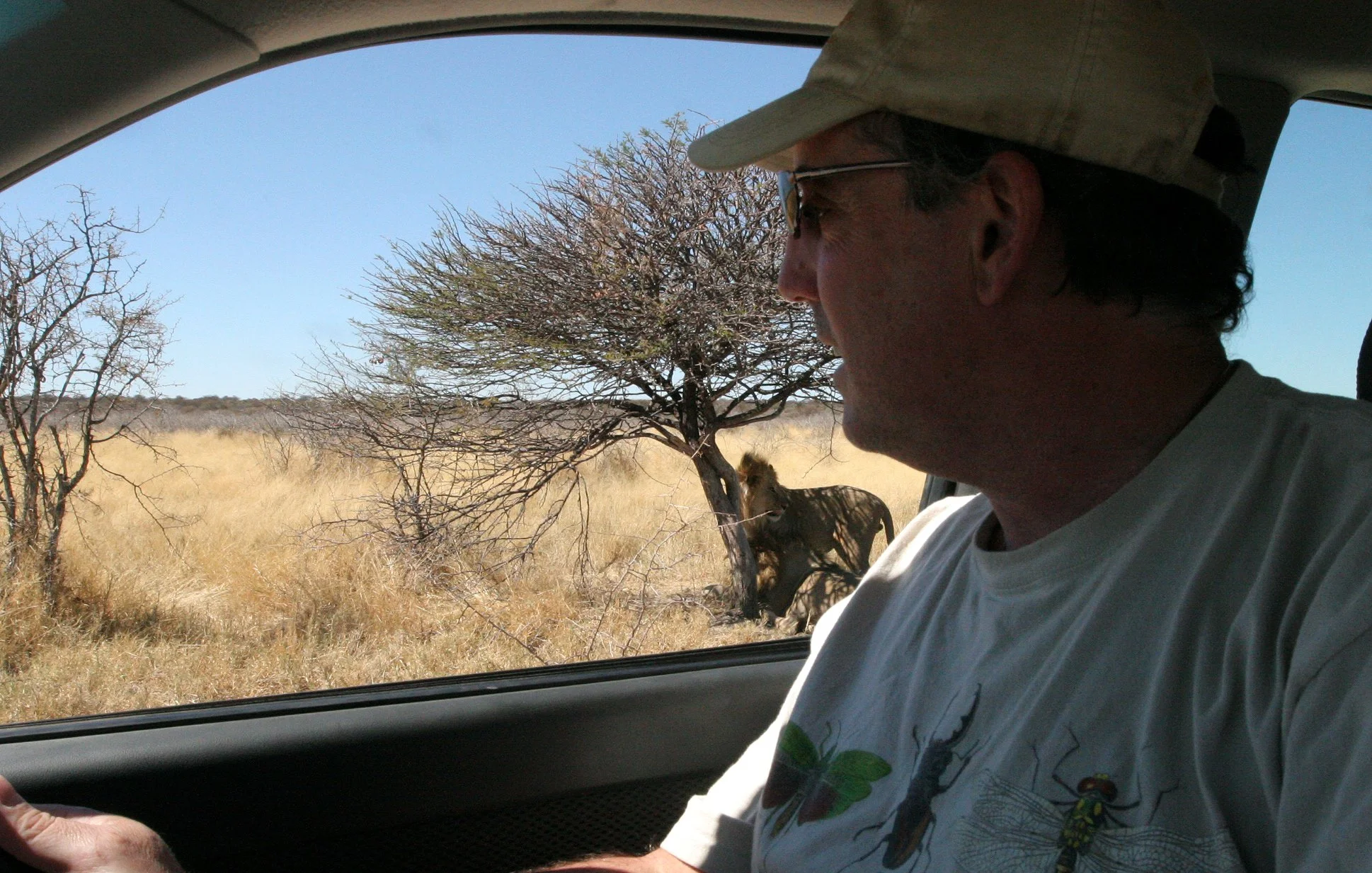 NAMIBIA - ETOSHA NATIONAL PARK NAMIBIA - LIONS IN THE MIRROR AND OUTSIDE THE WINDOW (12).JPG