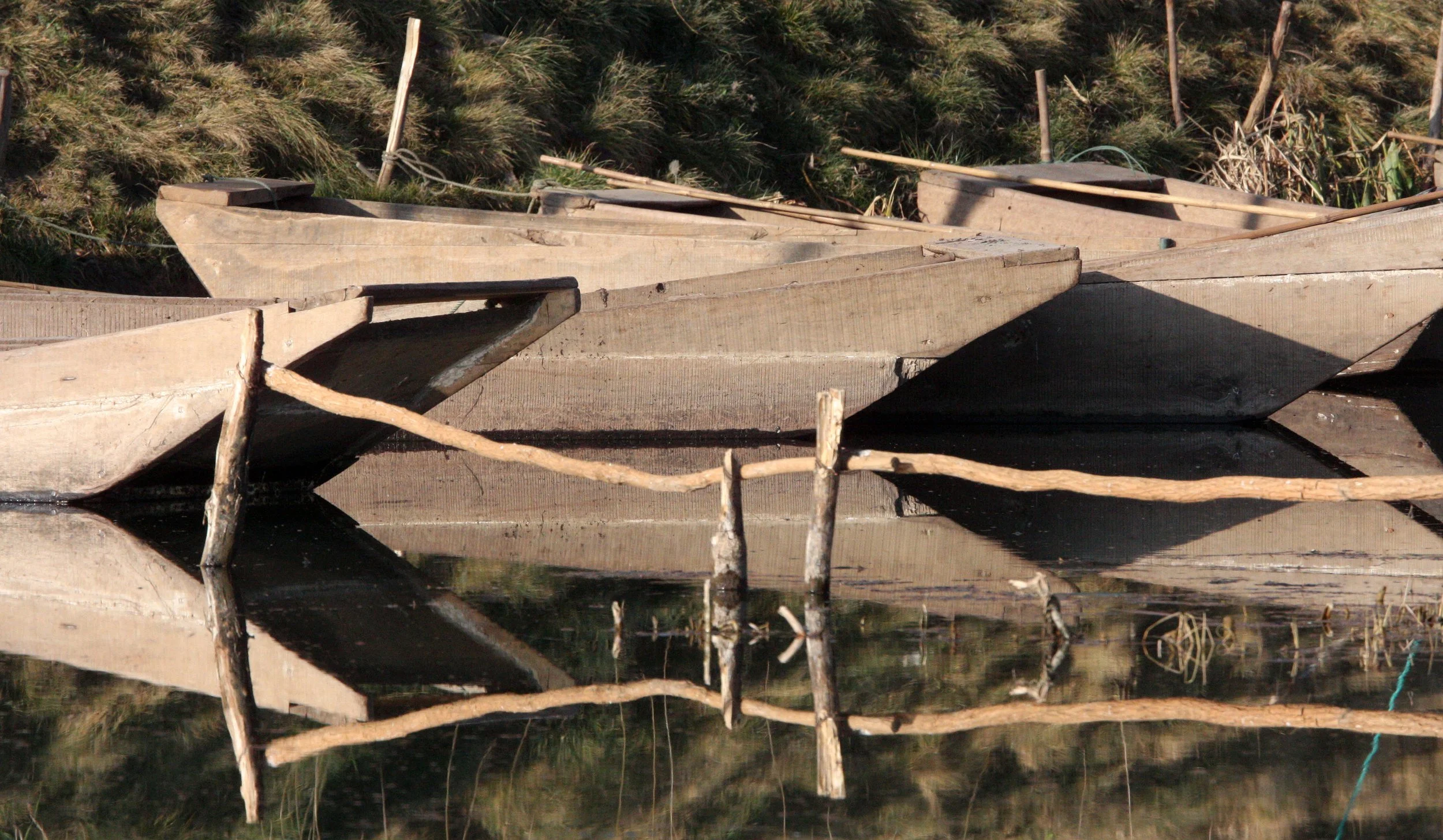 YUNNAN - DALI - WETLANDS NEAR DALI (1).JPG