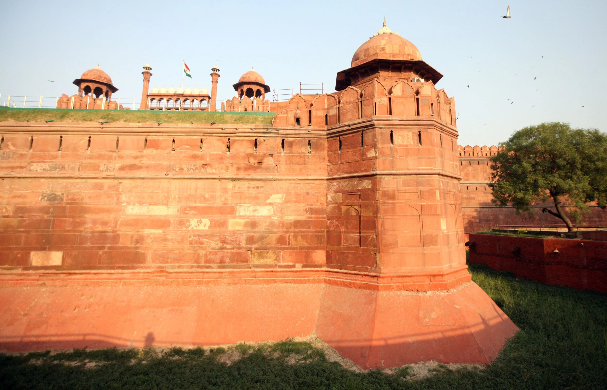 OLD DELHI INDIA - SNOW LEOPARD TRIP 2014 (55).JPG