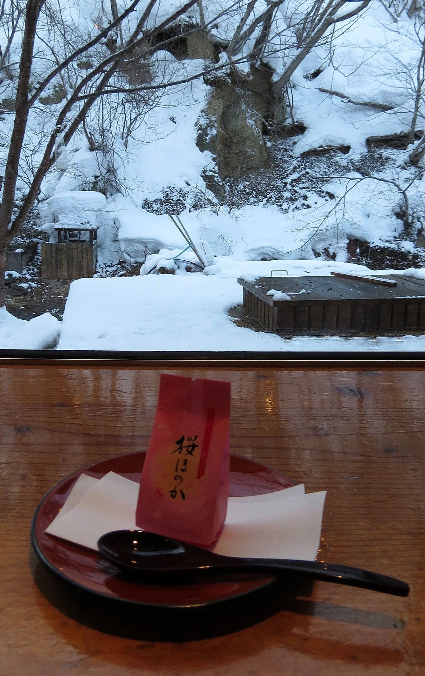 YOROUSHI ONSEN - DAIICHI SPA - HOKKAIDO JAPAN (67).JPG