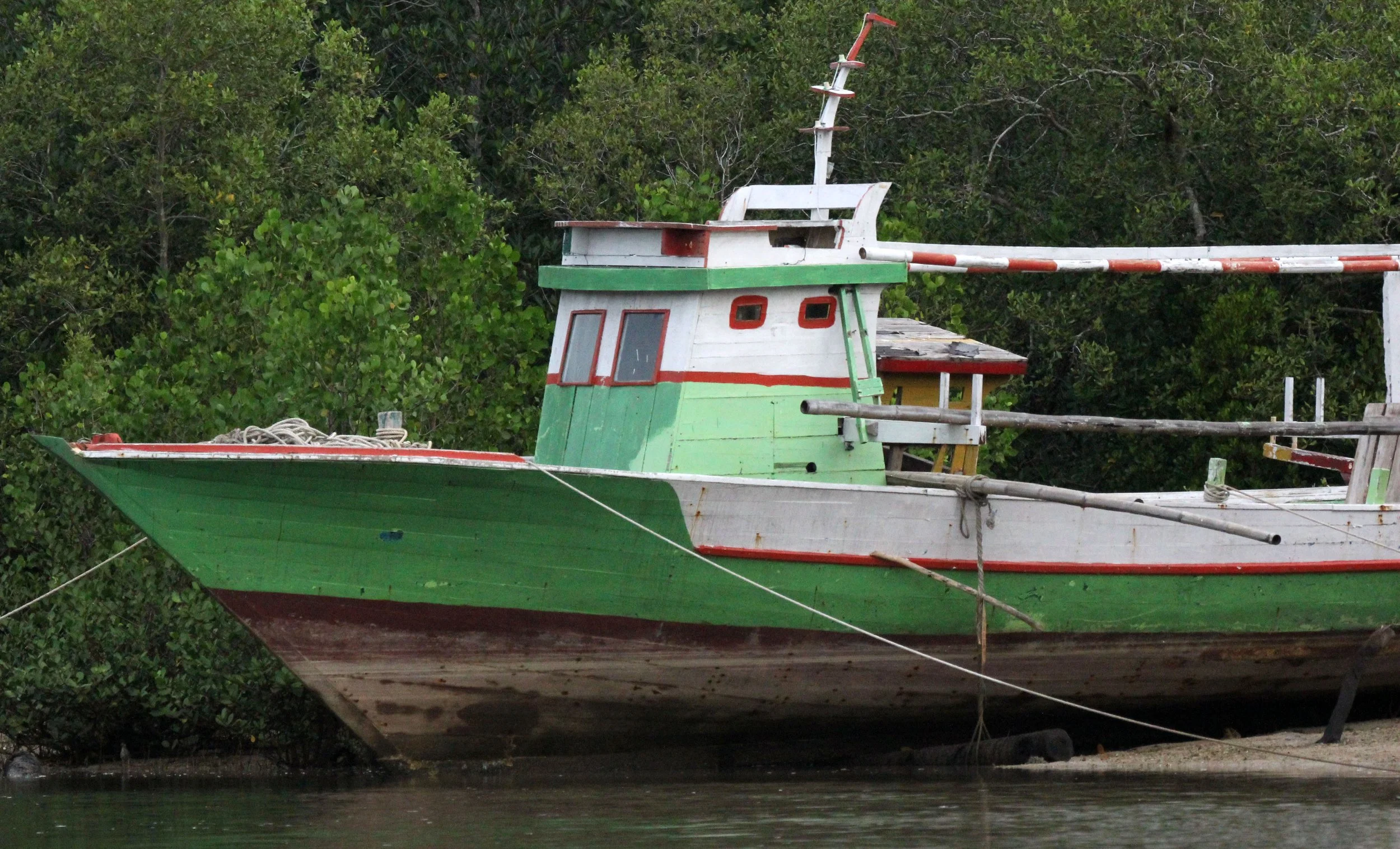 TANGKOKO NATIONAL PARK, SULAWESI INDONESIA (8).JPG