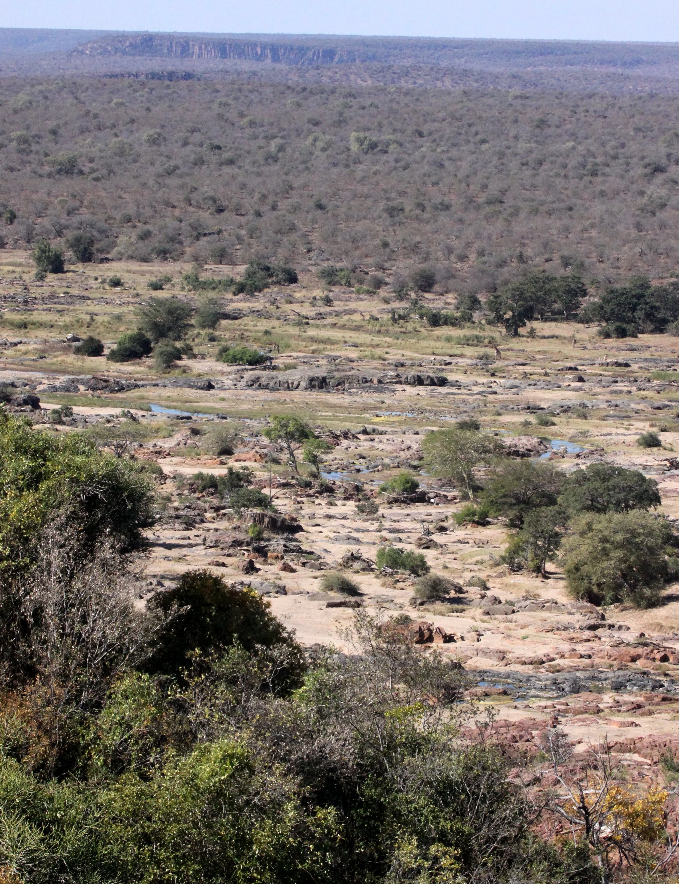 KRUGER NATIONAL PARK SOUTH AFRICA - OLIFANT RIVER BASIN (3).JPG