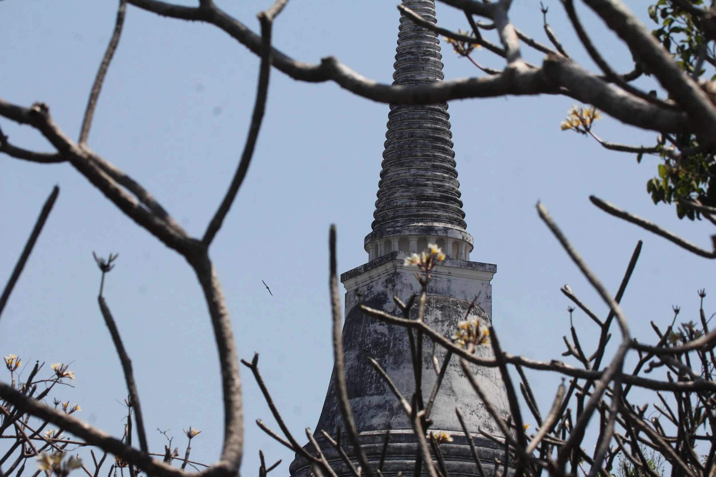 2020 Petchaburi Temple Trip with Cokie (122).JPG