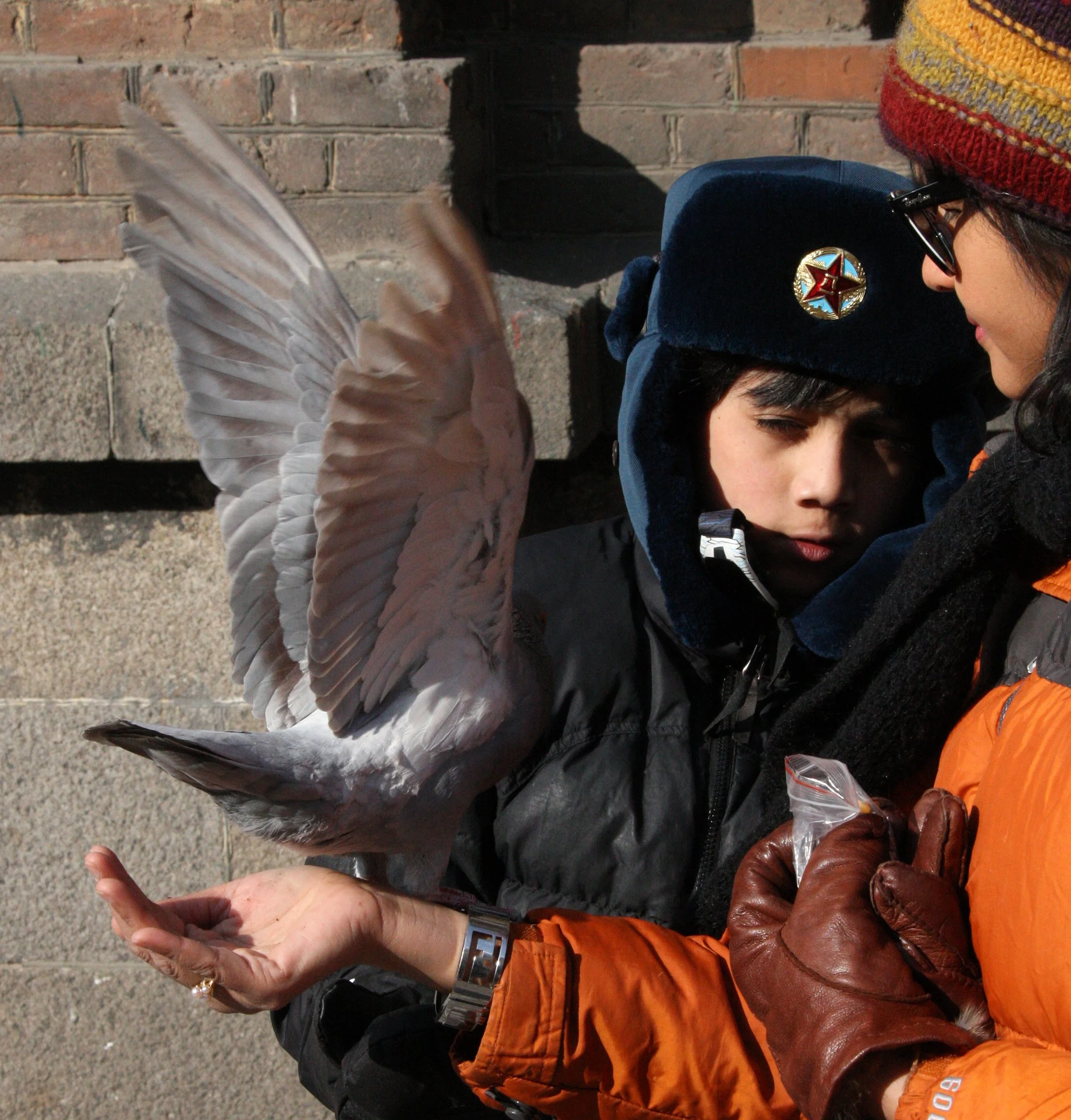 BIRD - PIGEON - HARBIN SAINT SOPHIA'S CATHEDRAL CHINA (21).JPG