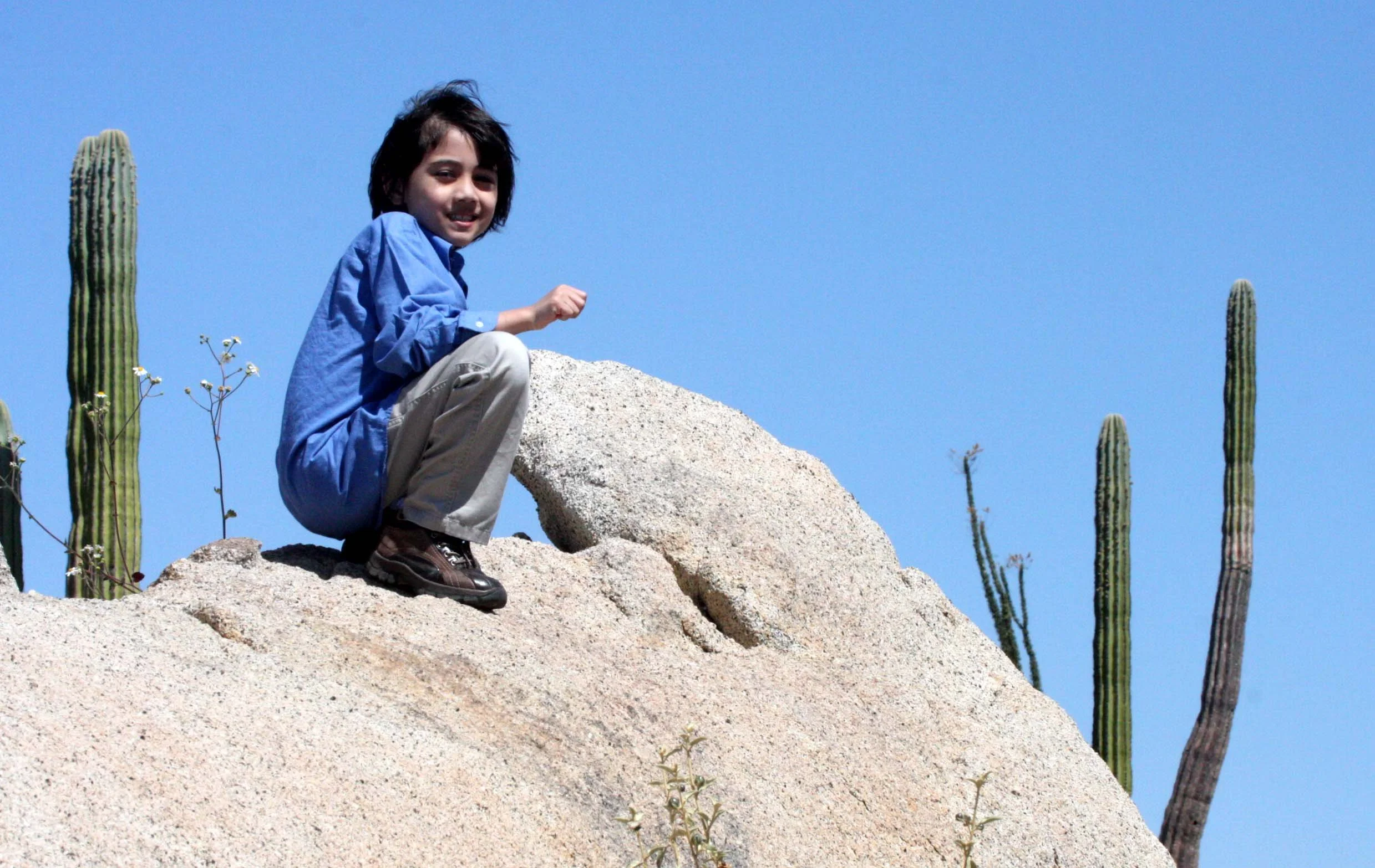 CATAVINA DESERT - BAJA MEXICO - COKIE HANGING OUT.JPG