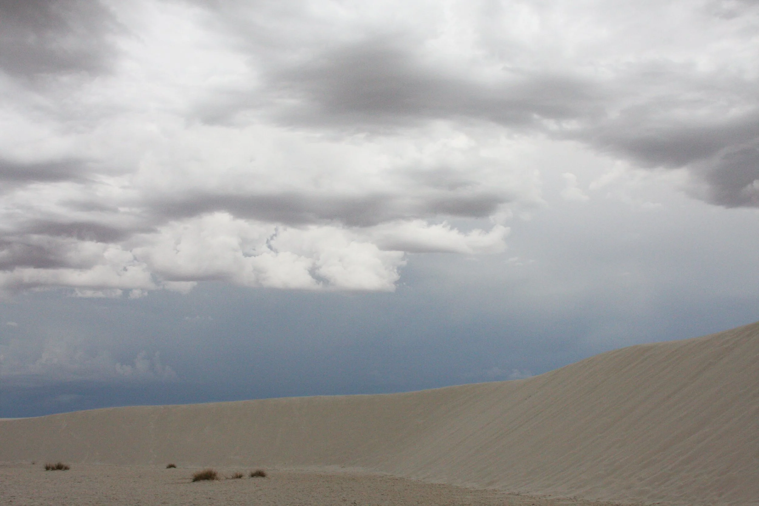 WHITE SANDS NATIONAL MONUMENT - JUNE 2010 (24).JPG