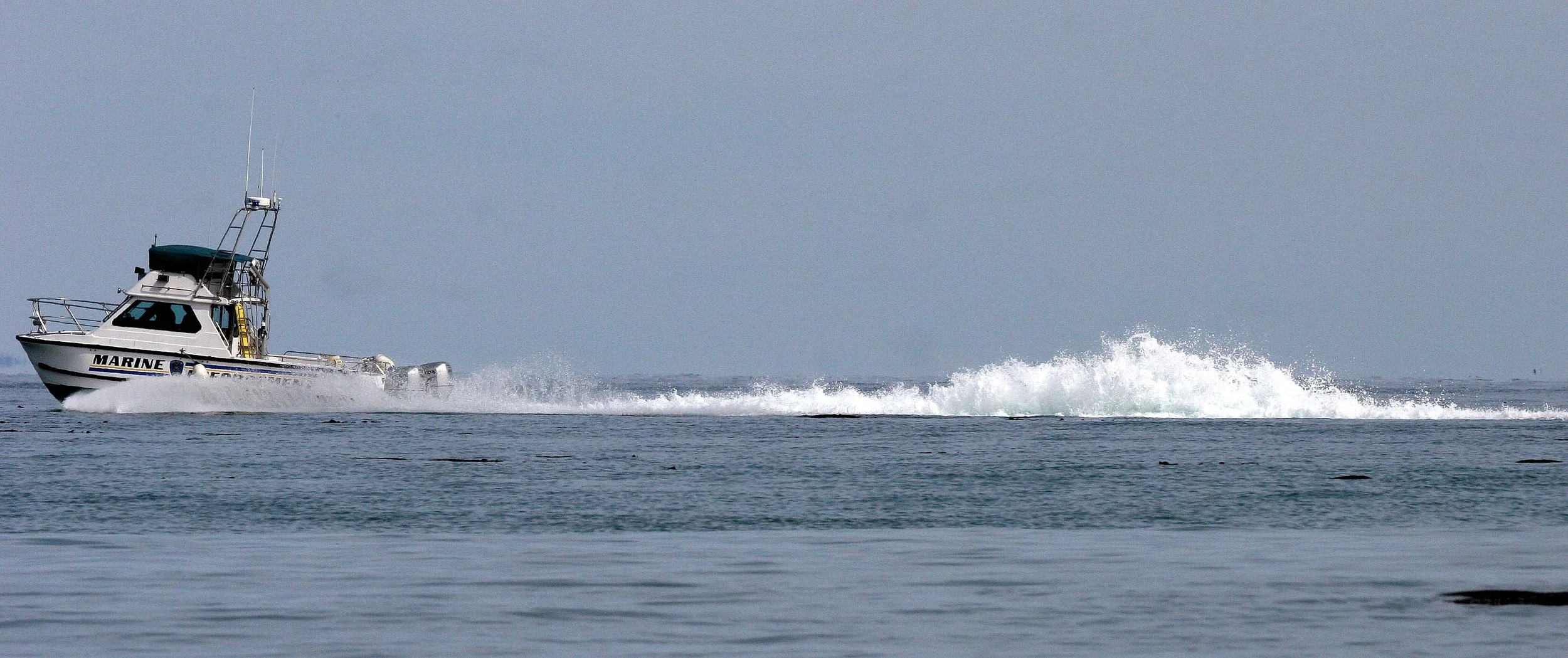 2008-4-20 LAKE FARM BEACH WA (6).JPG