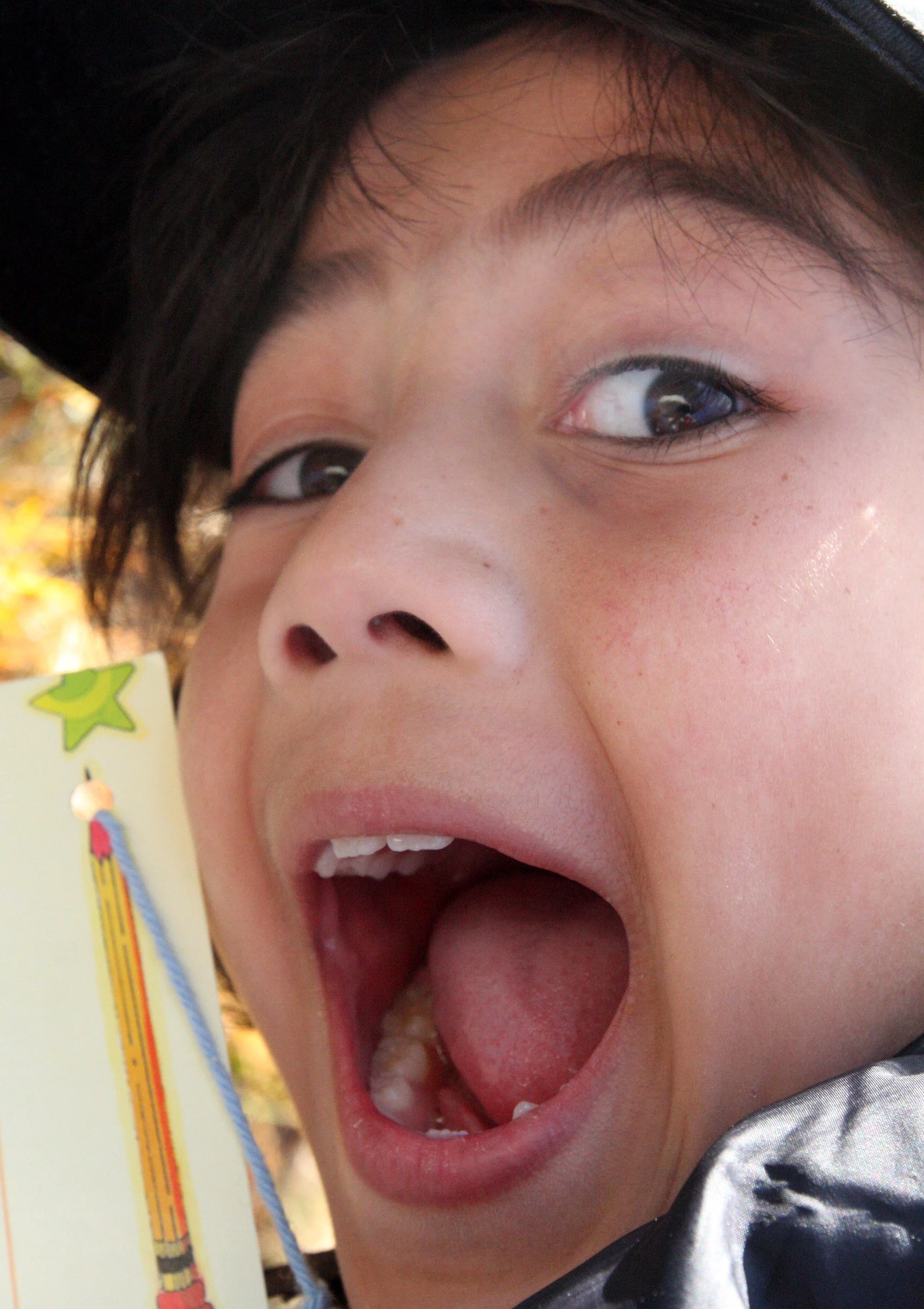 2009-10-19 COKIE'S FIELD TRIP TO HURRICANE RIDGE WA (8).JPG