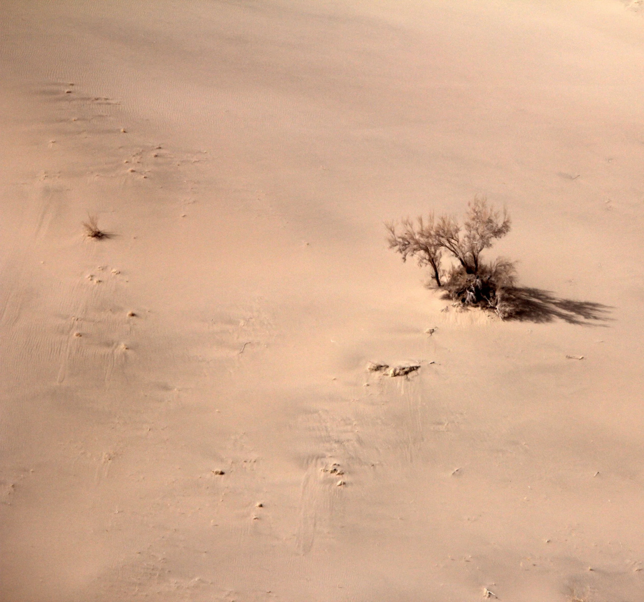 GANSU - DUNES SOUTH OF DUNHUANG - CHINA (35).JPG