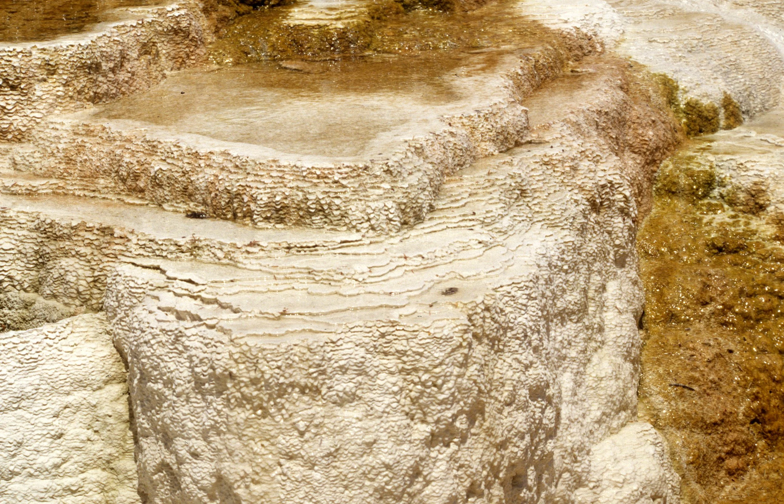 YELLOWSTONE - MAMMOTH HOTSPRINGS DD.jpg