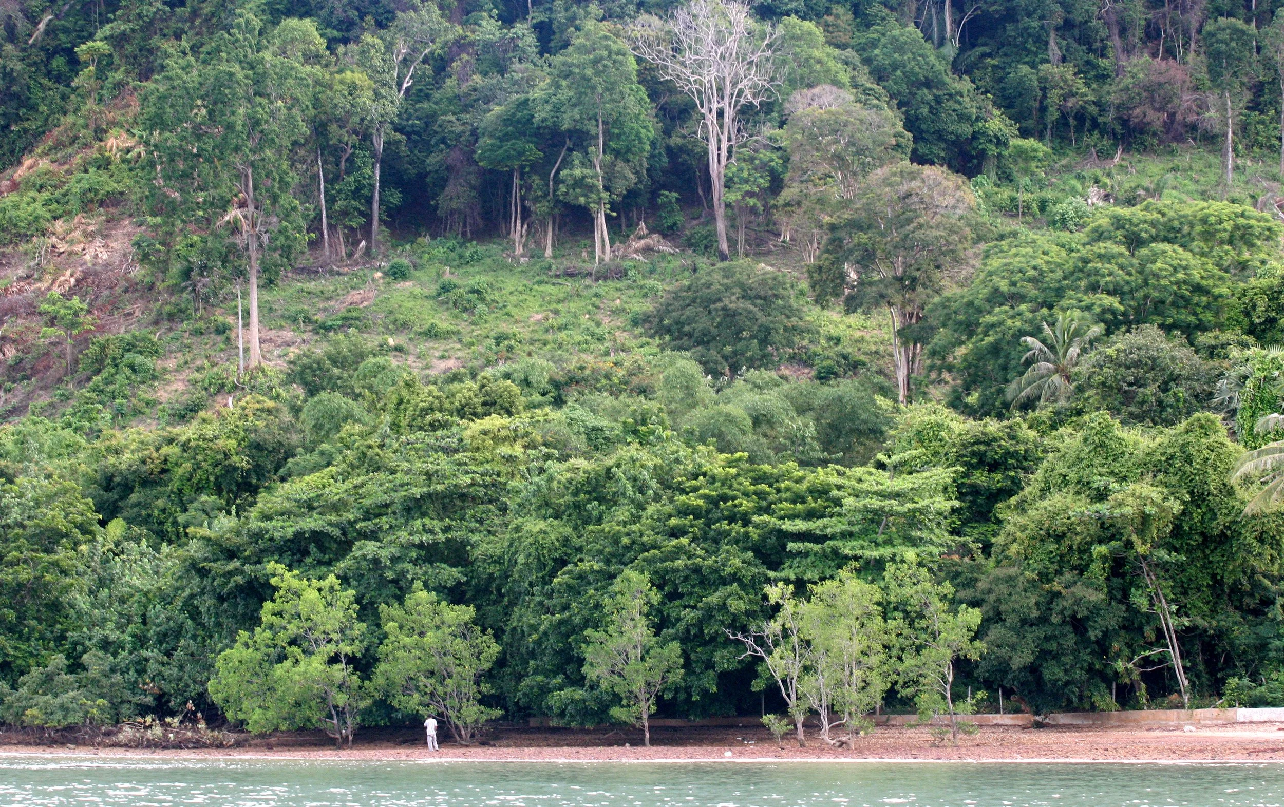 KOH LANTA - 2008 - PROPERTY VIEWS (6).JPG