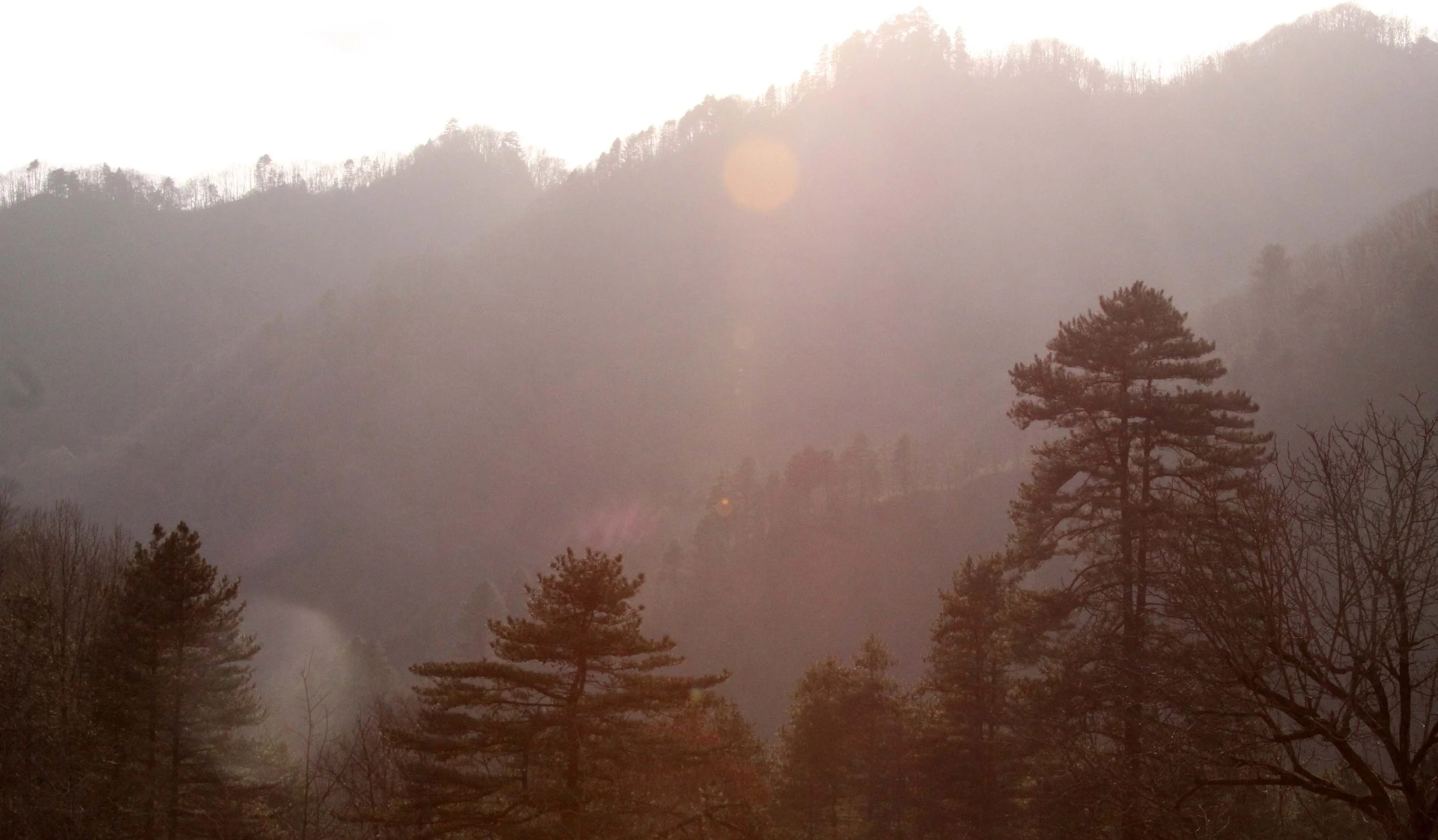 FOPING NATURE RESERVE - SHAANXI PROVINCE CHINA (182).JPG