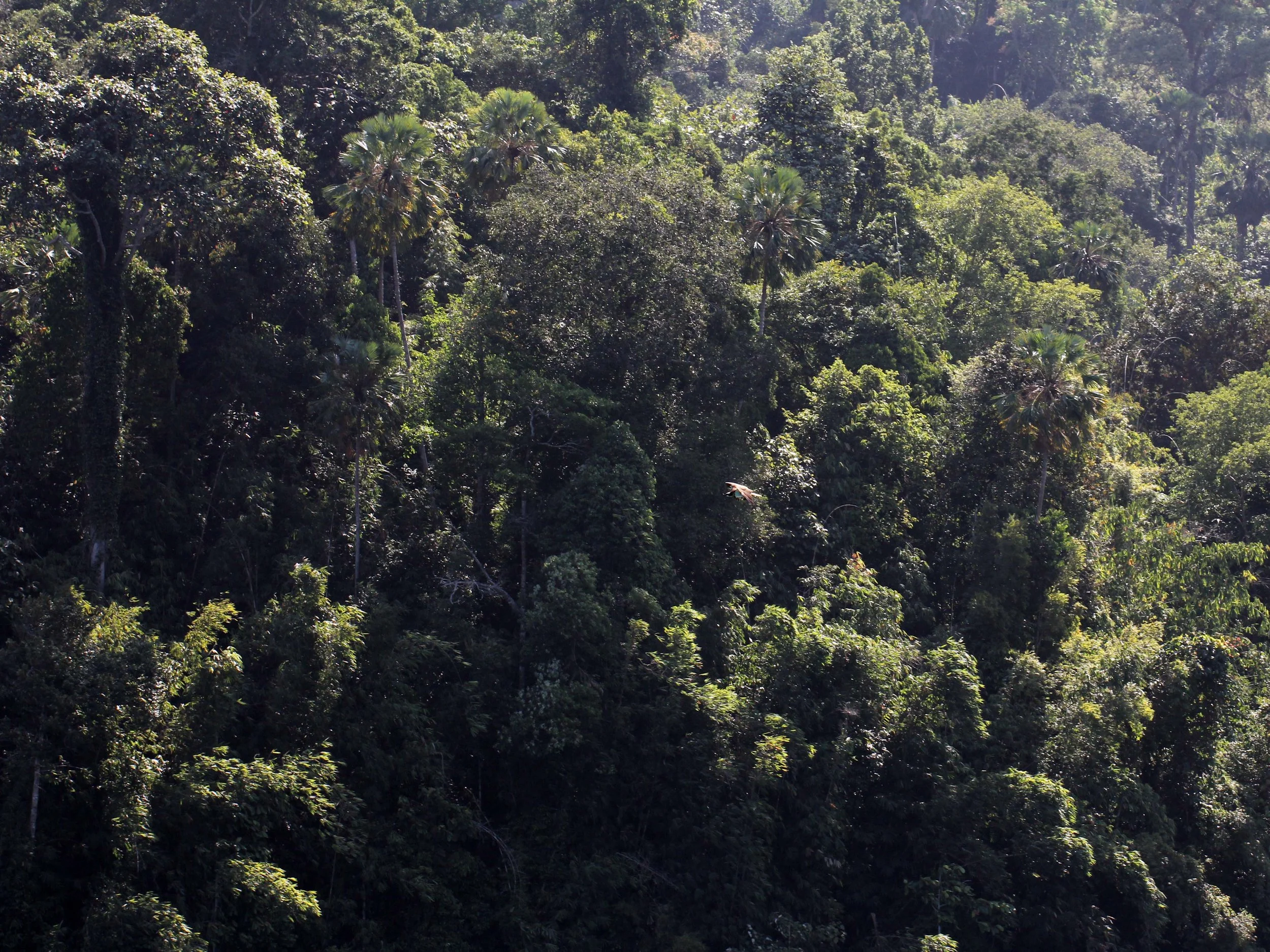 2014 ISB Trip to Khao Sok National Park on the Lake (130).JPG
