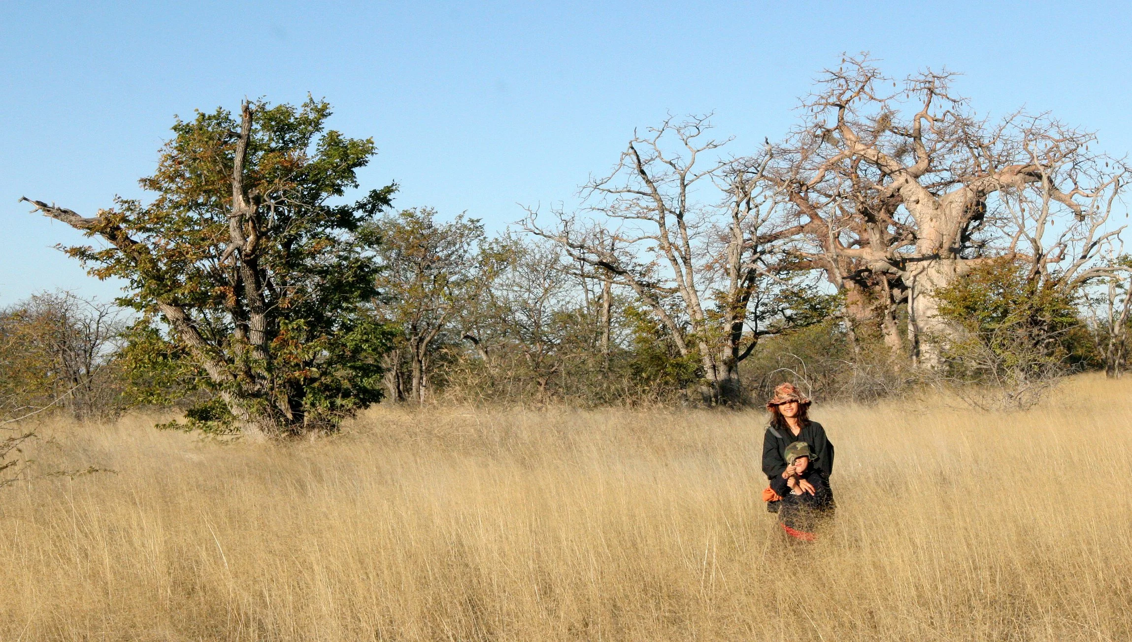 BOTSWANA -KALAHARI DESERT PLANET BAOBAB BOTSWANA (4).JPG