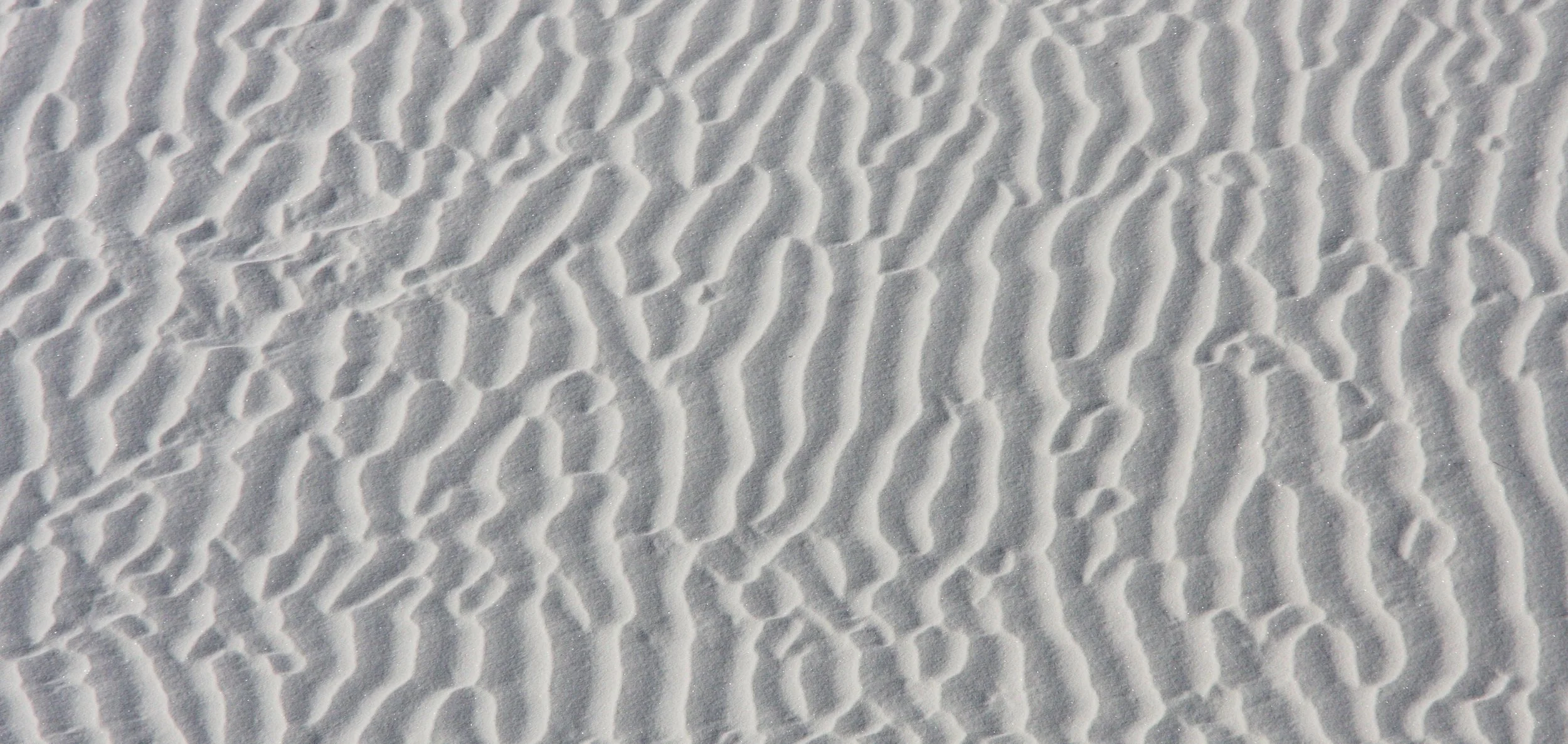 WHITE SANDS NATIONAL MONUMENT - JUNE 2010 (21).JPG