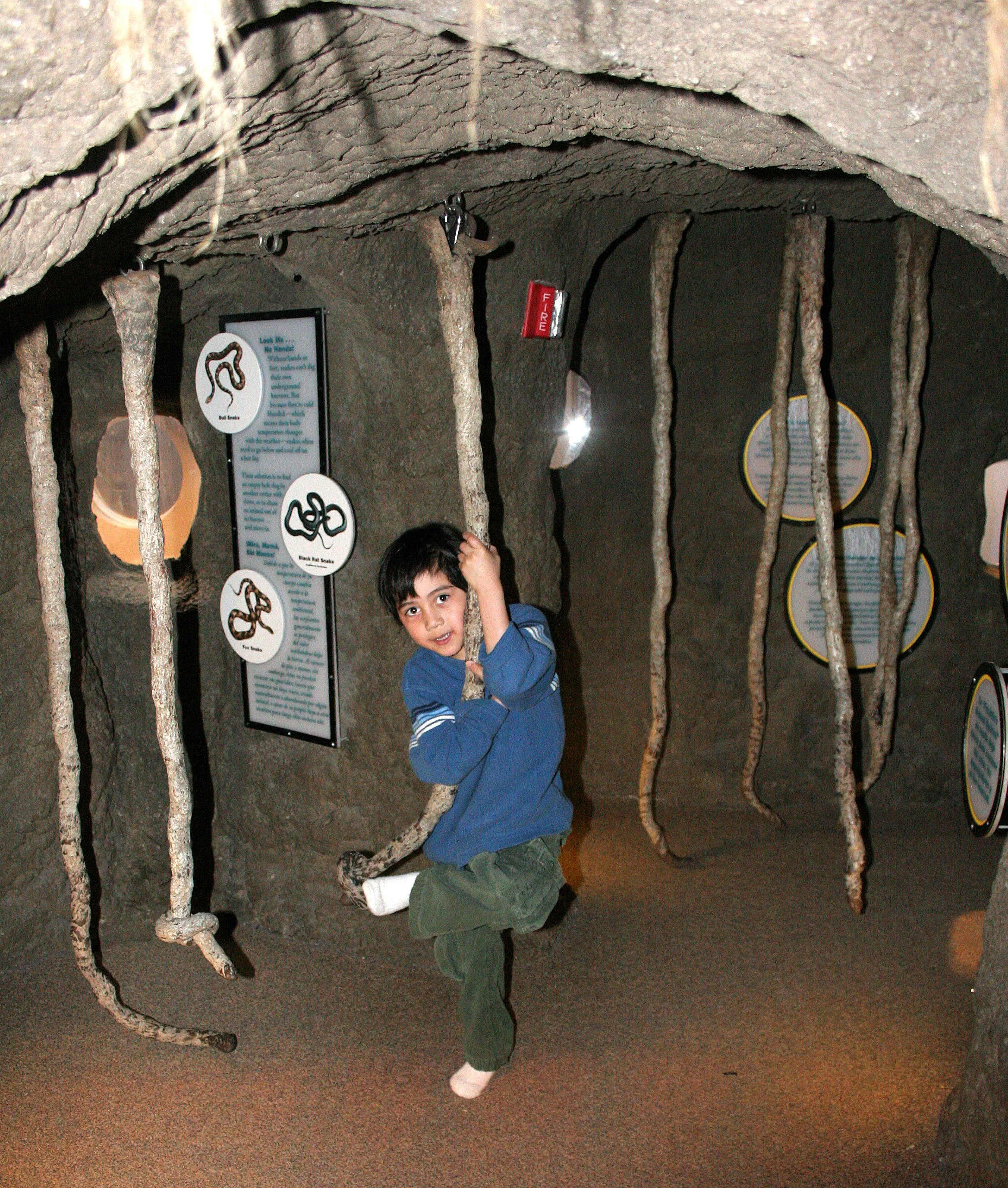 2008-3-31 CHICAGO SPRING TRIP - PEGGY BARTEAON NATURE MUSEUM (2).JPG