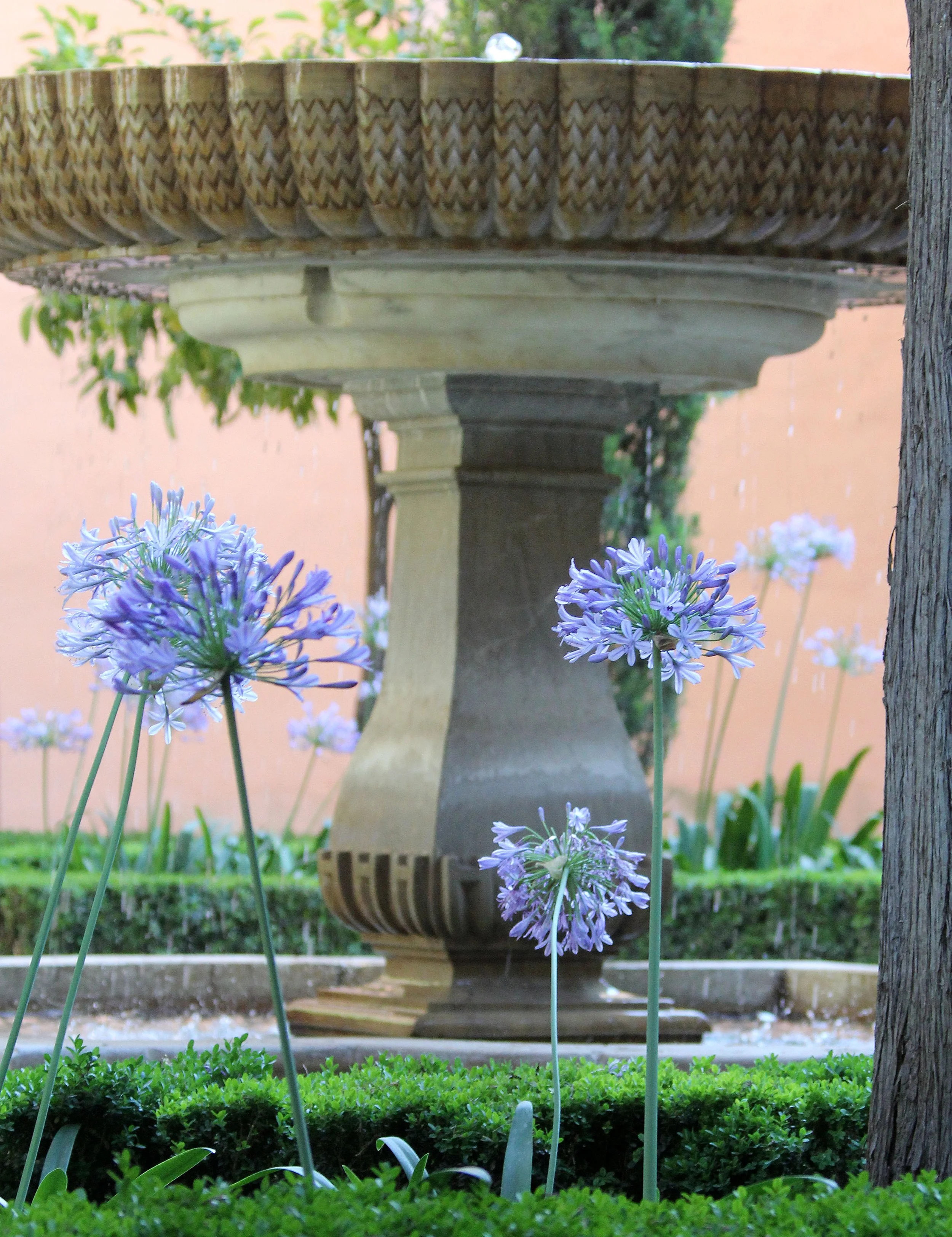 GRANADA SPAIN (57).JPG