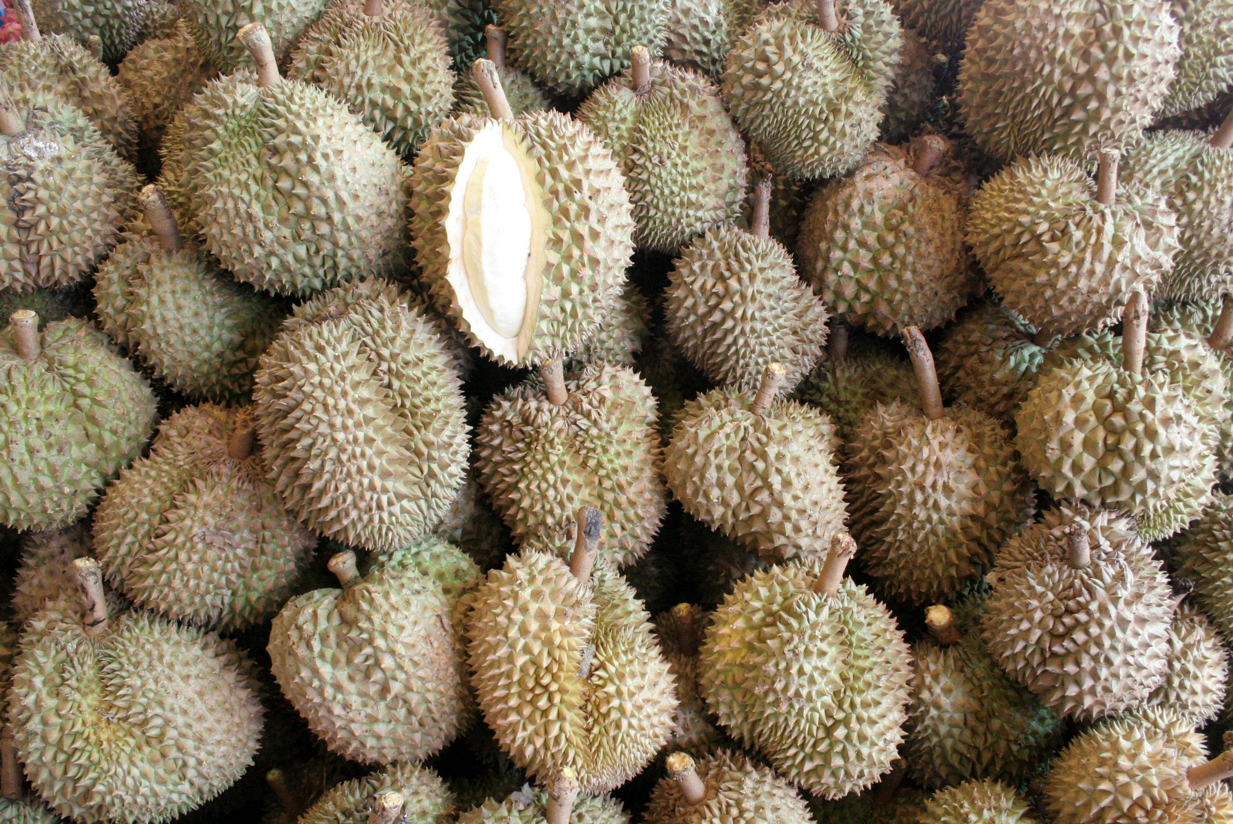 2008 Bueng Boraphet Road Trip to North (4).JPG