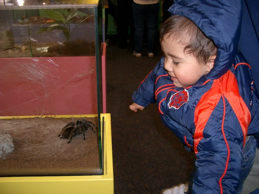 2003-11-28 DAY TRIP TO VICTORIA BC (17).JPG