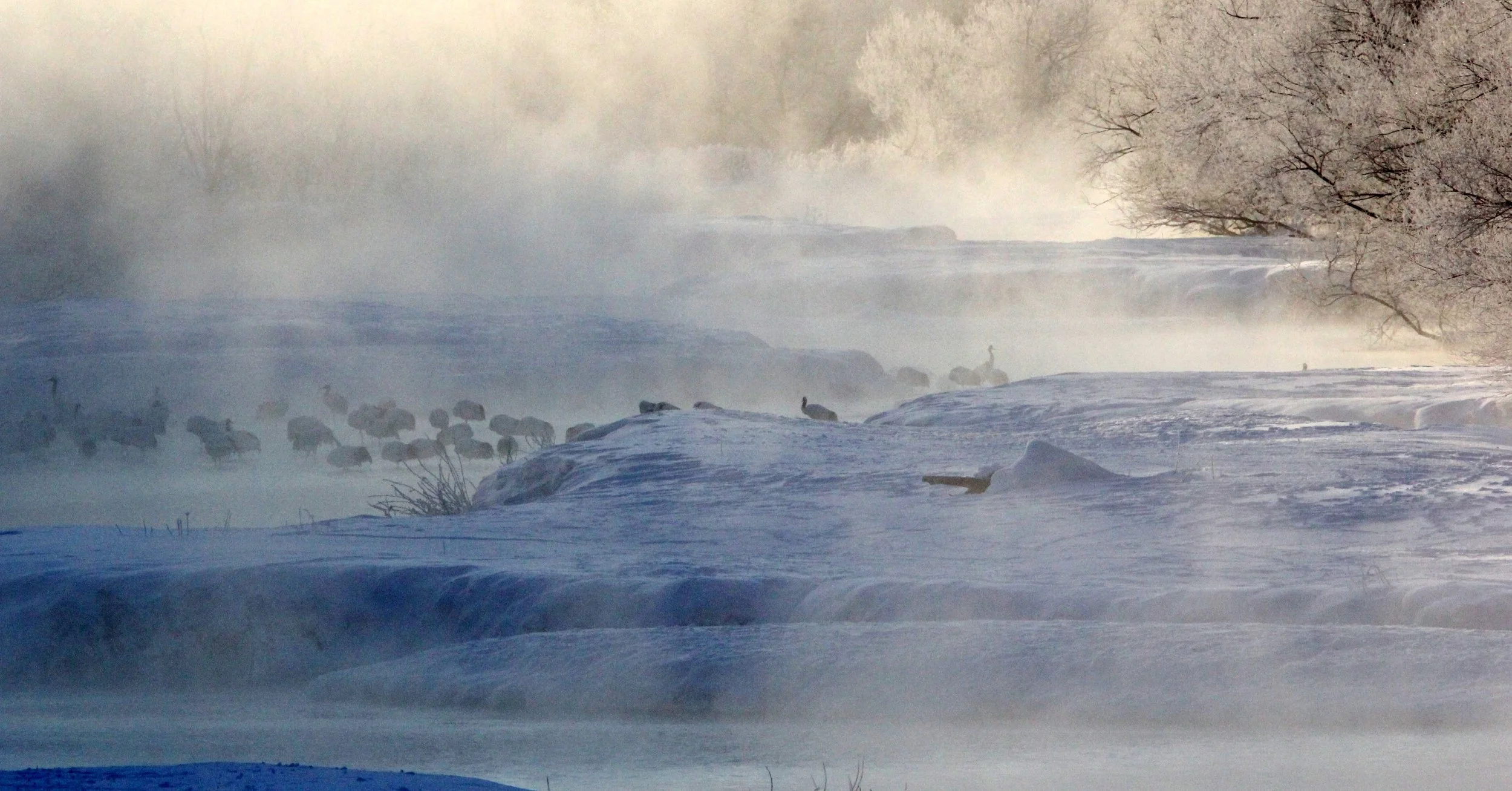 OTOWABASHI SETSUGAWA - TSURUI TOWN - HOKKAIDO JAPAN (38).JPG