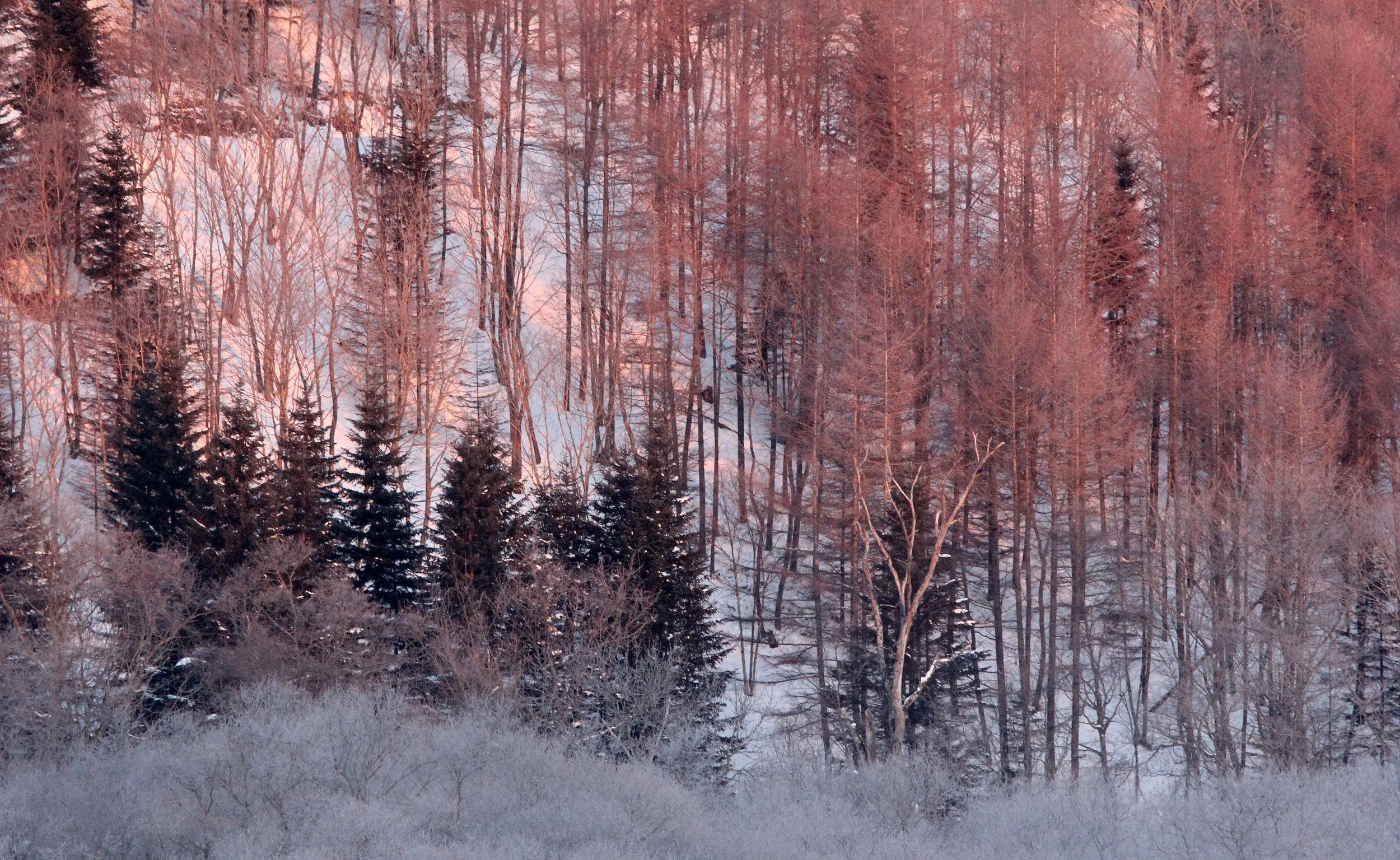 OTOWABASHI SETSUGAWA - TSURUI TOWN - HOKKAIDO JAPAN (19).JPG