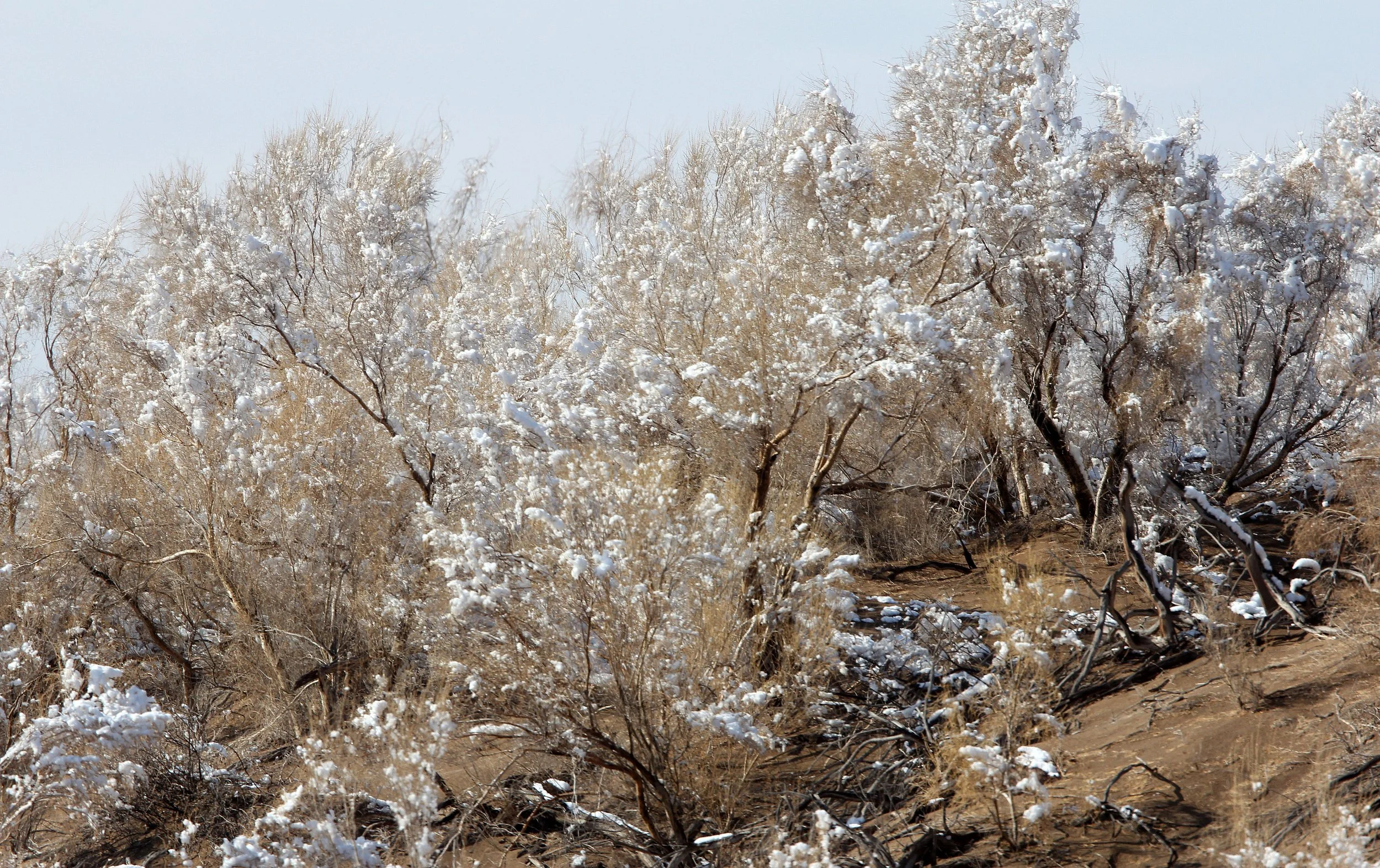 KARAMORI NATIONAL NATURE RESERVE - XINJIANG CHINA (54).JPG