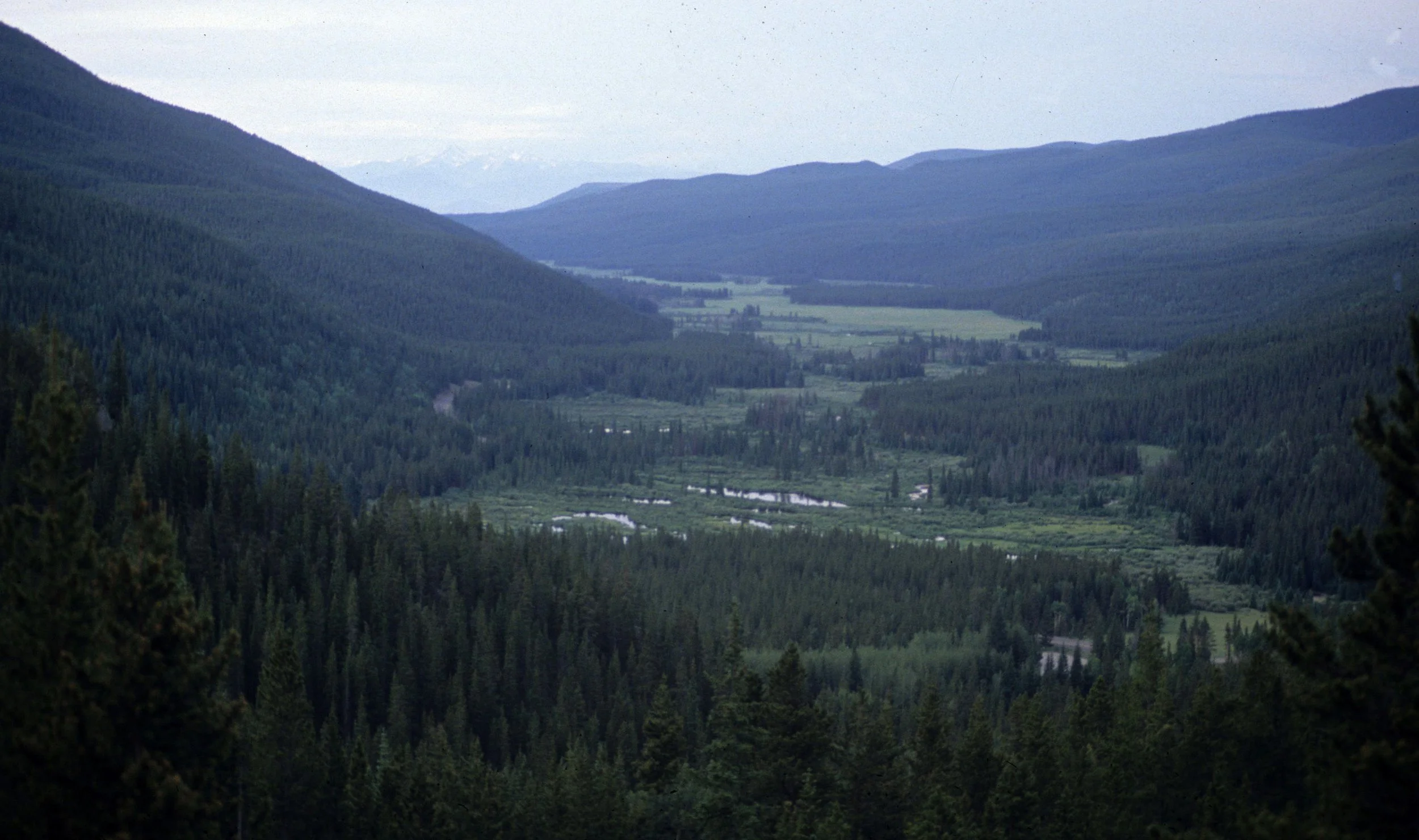 COLORADO - ROCKIES NATIONAL PARK  - VALLEY ON EAST SIDE.jpg