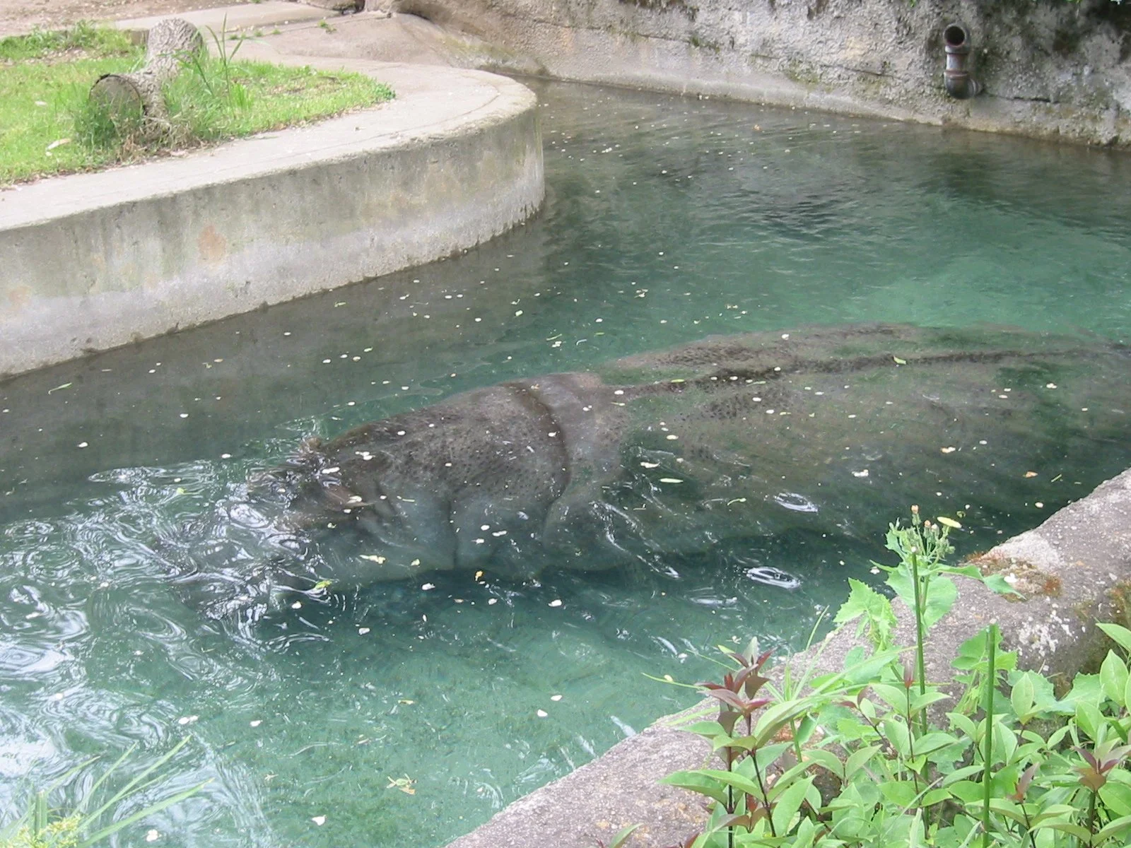 2003-4-1 SPRING TRIP TO SACRAMENTO (123).JPG