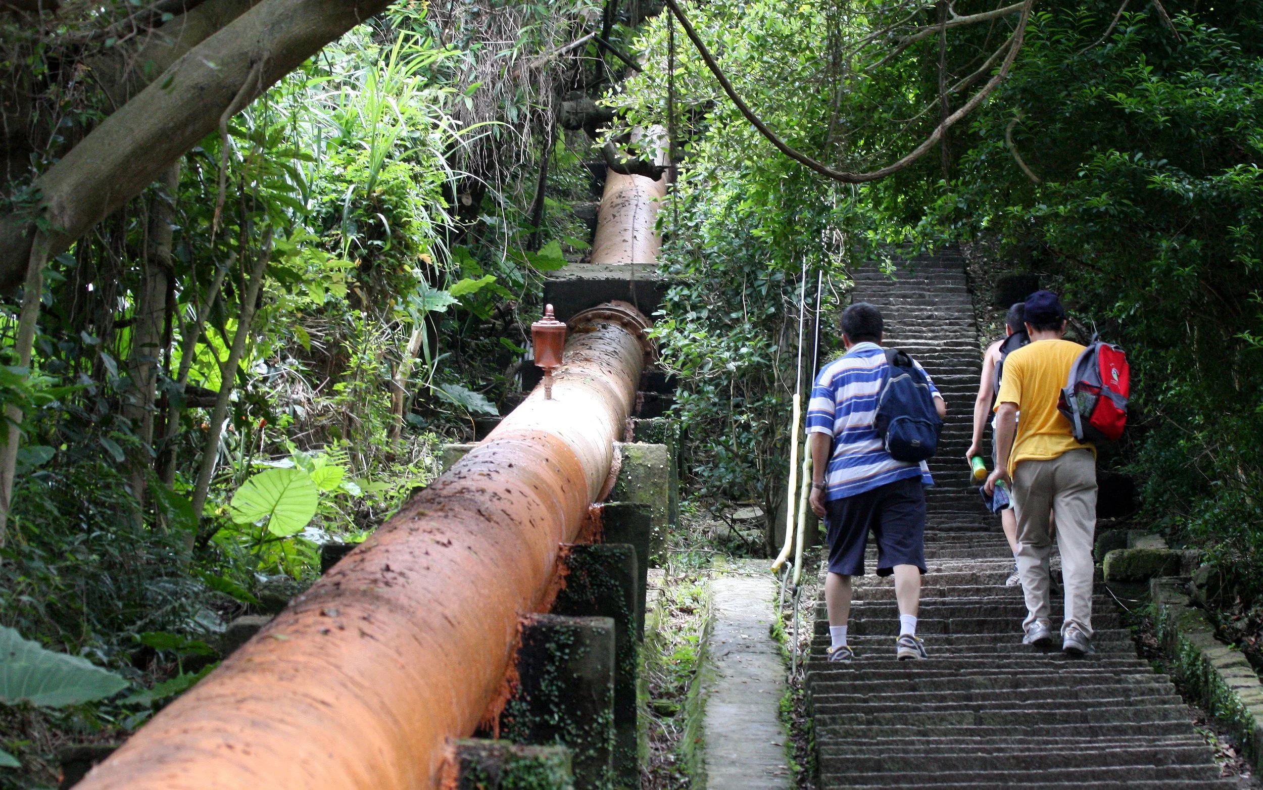 TAIPEI - MACAQUE TRAIL - LOOKING FOR FORMOSAN MACAQUE (13).JPG