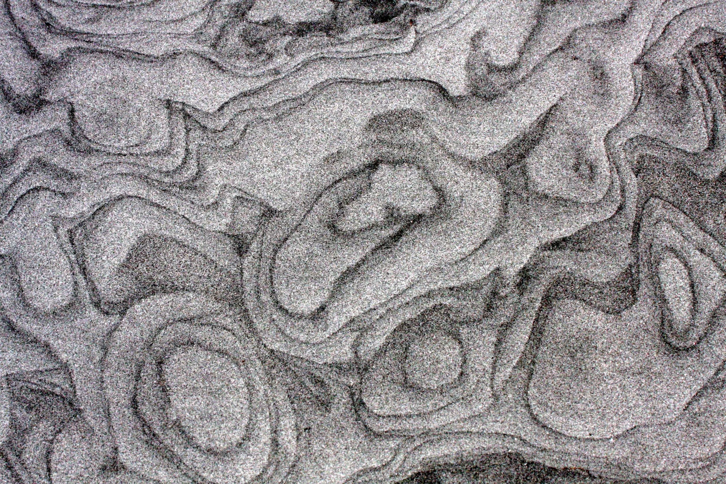 SAN IGNACIO LAGOON BAJA MEXICO - DESERT LANDSCAPES (4).JPG