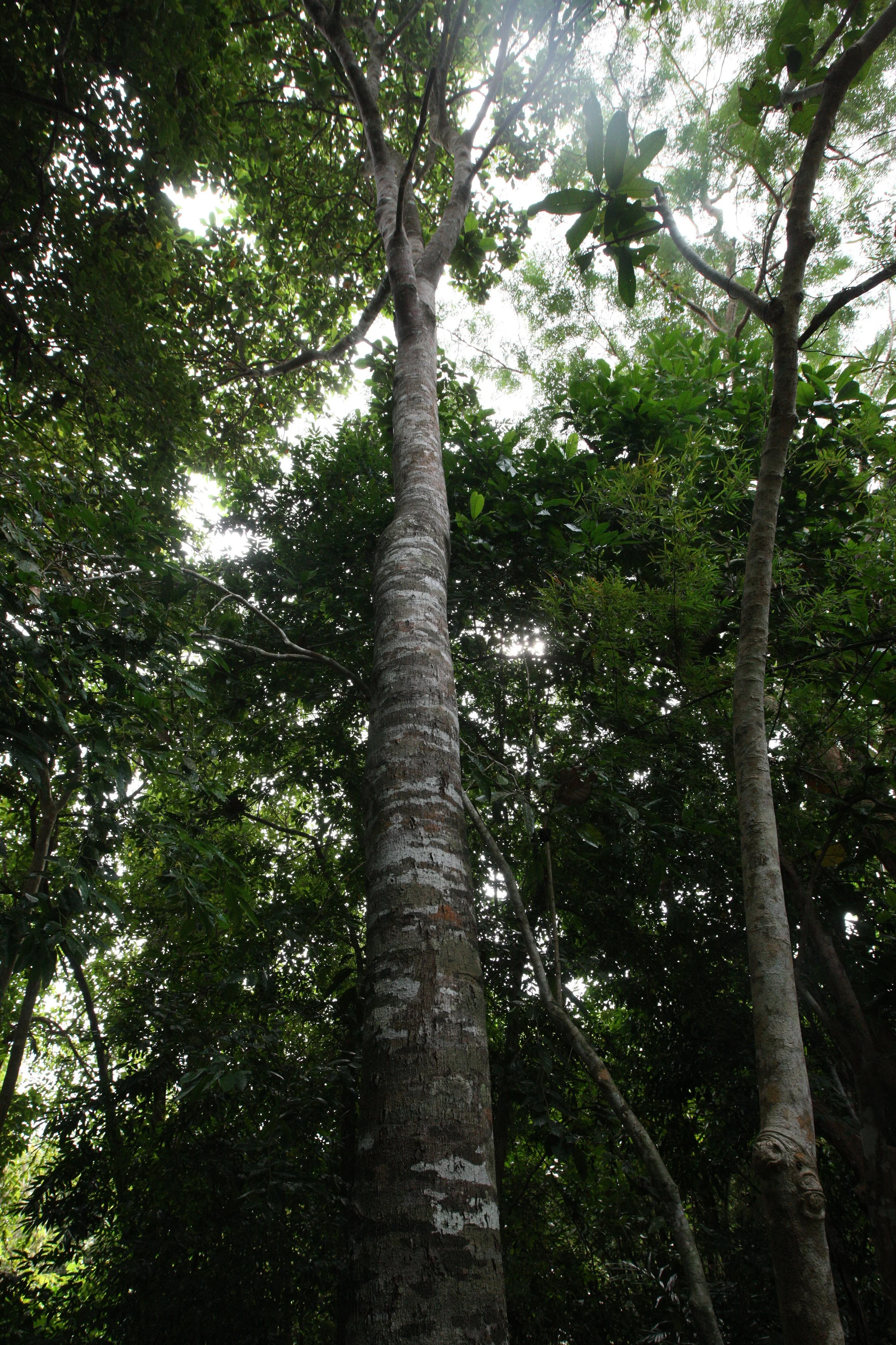 LANTA ISLAND - OUR PROPERTY - WINTER 2011 (2).JPG