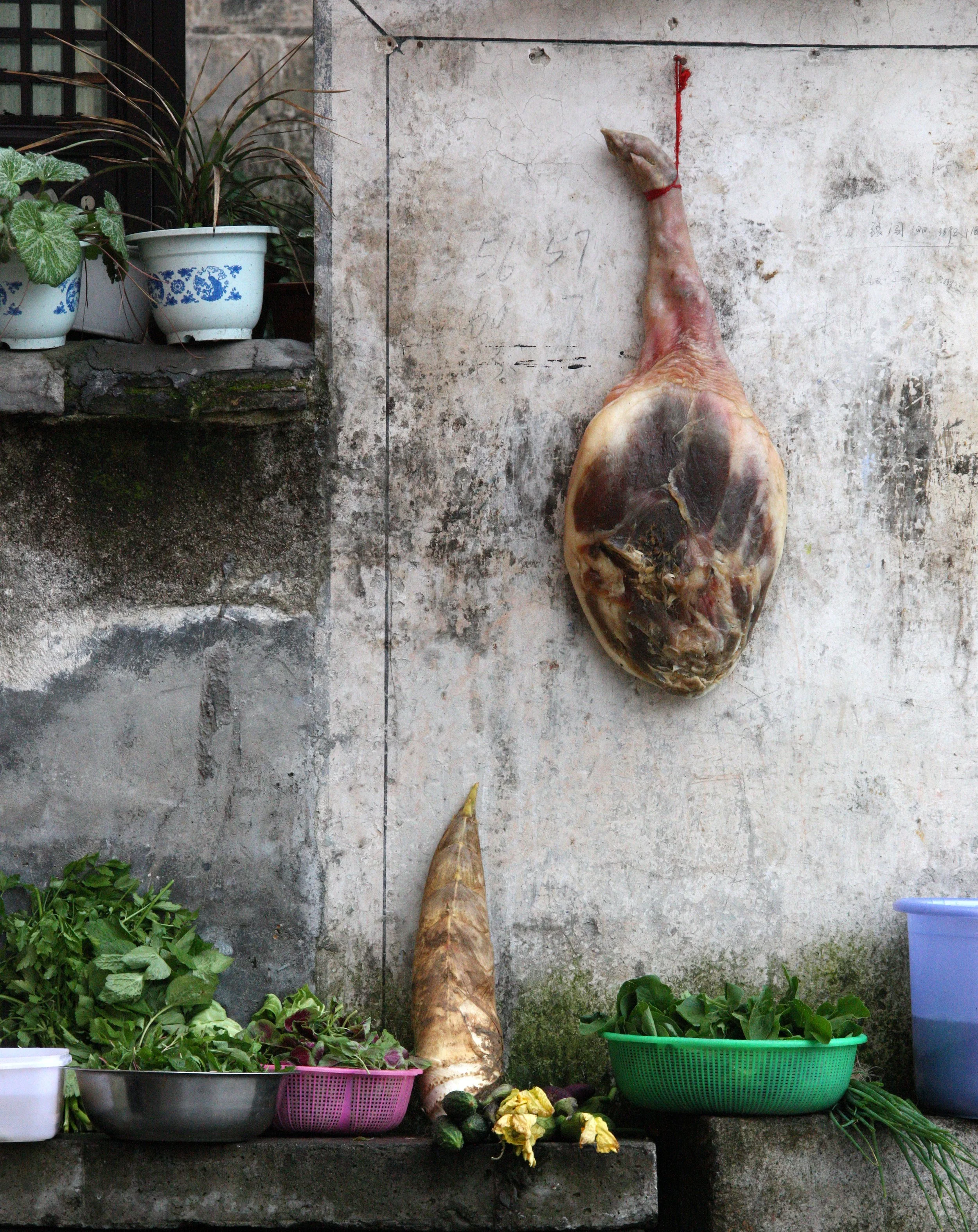HONGCUN VILLAGE - ANHUI PROVINCE CHINA (128).JPG