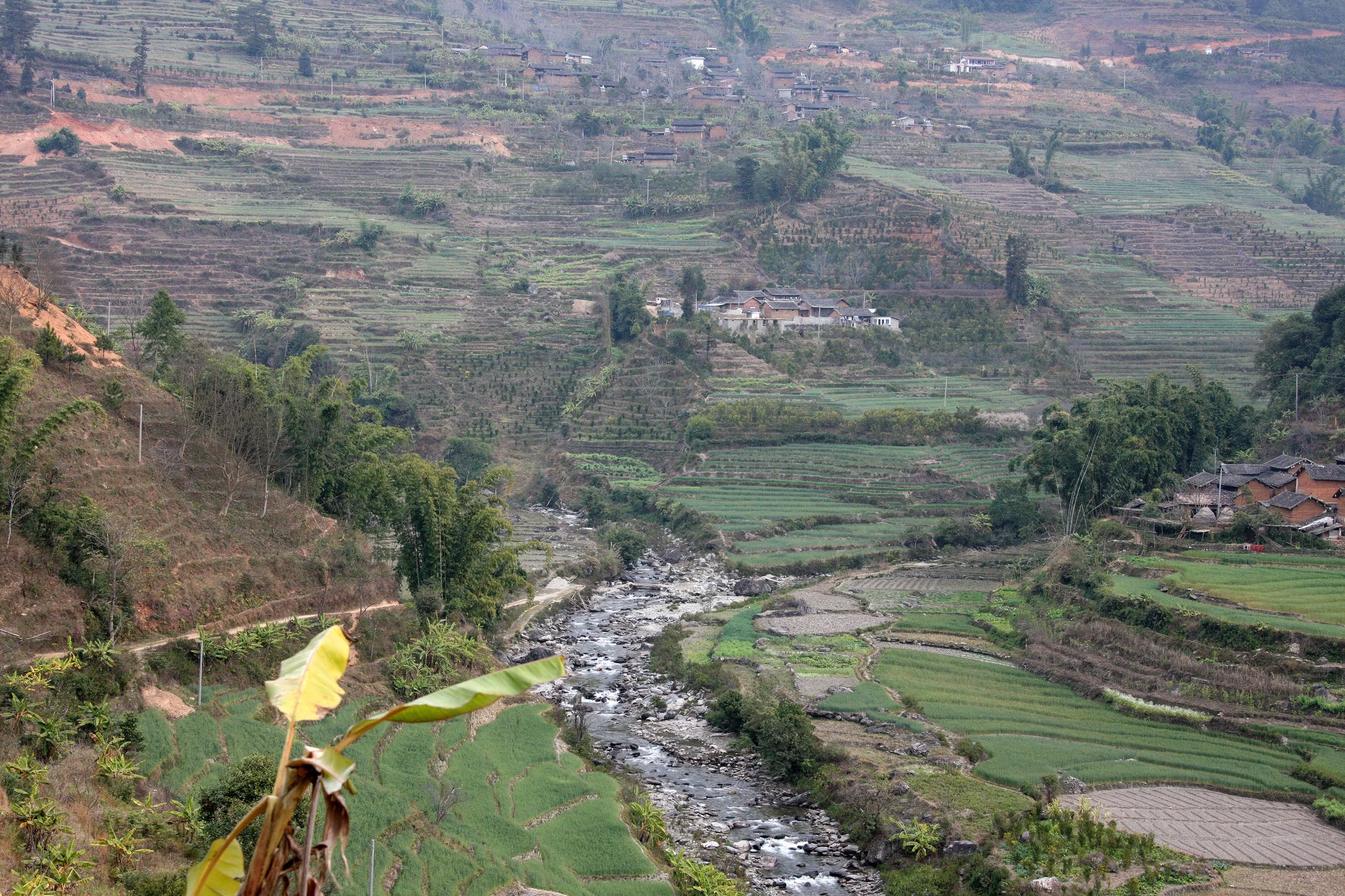 YUNNAN - WULIANGSHAN NATURE RESERVE AND SURROUNDING REGION (37).JPG