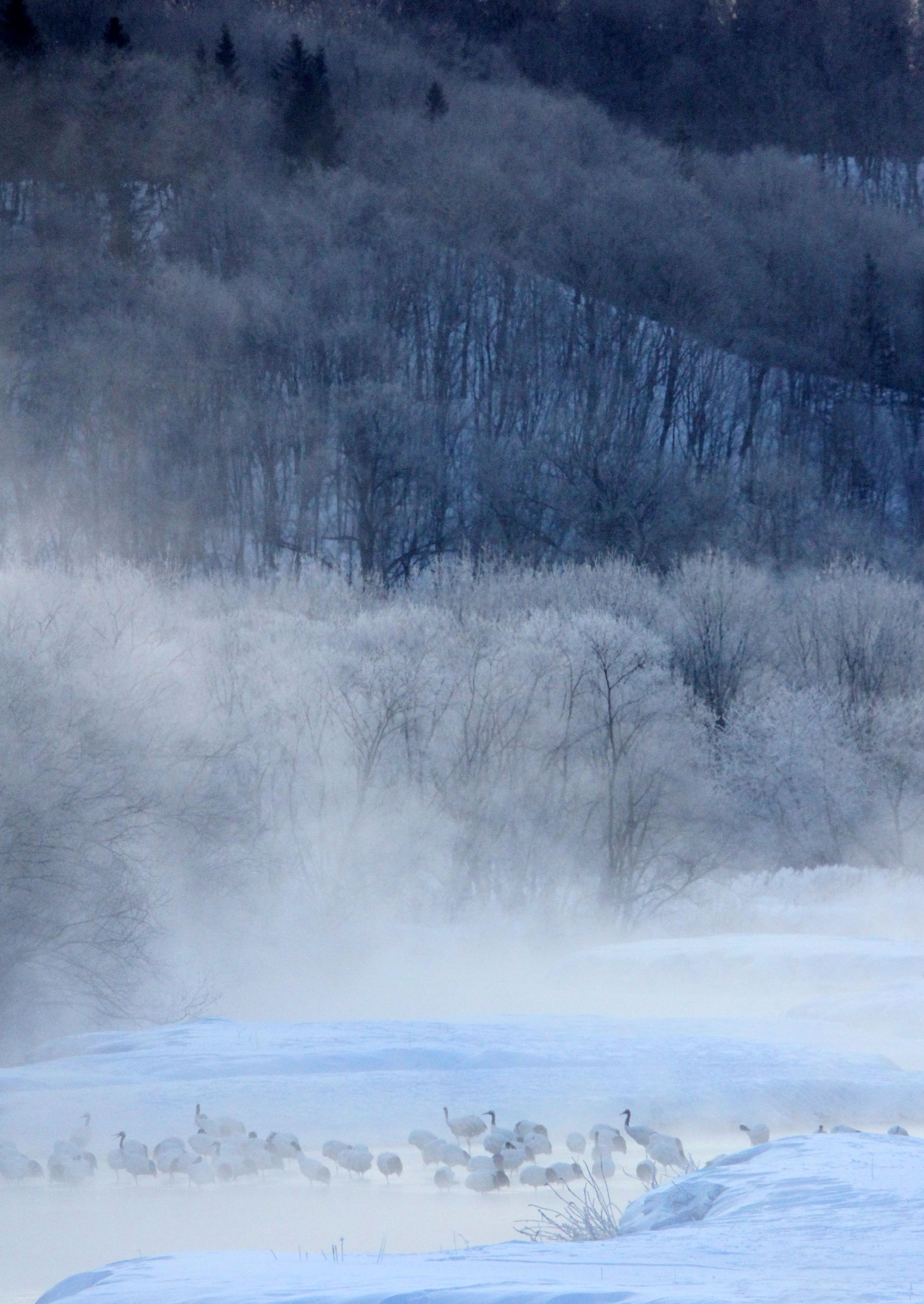 OTOWABASHI SETSUGAWA - TSURUI TOWN - HOKKAIDO JAPAN (34).JPG