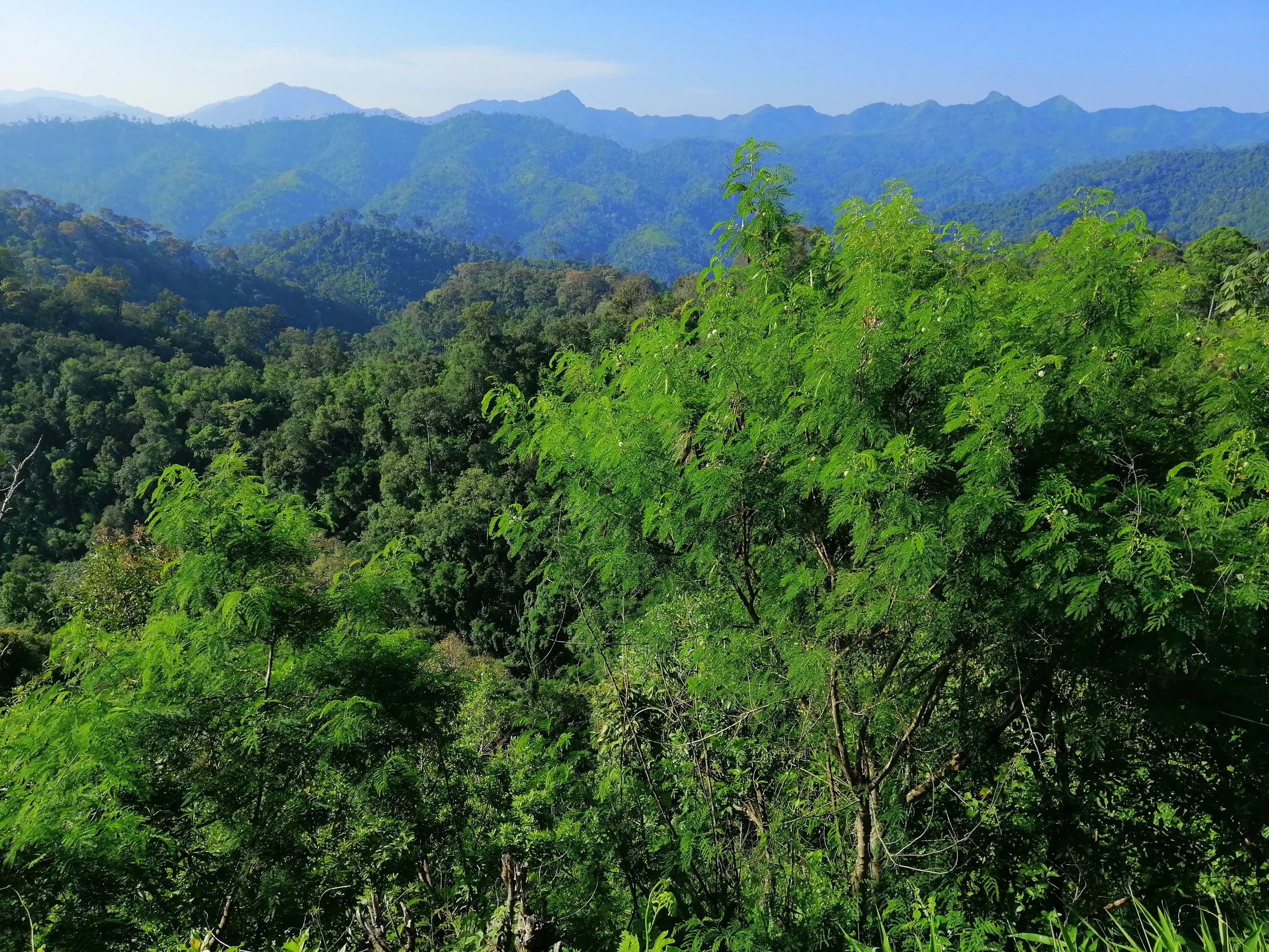 Spectacular views from the Chong Yen Campsite, Mae Wong National Park.  Most likely the distant mountains are in Khuen Srinagarindra National Park