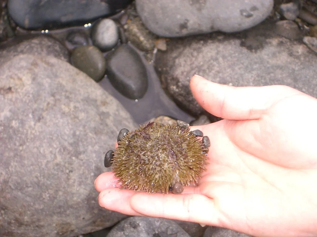 2004-3-12 LAKE FARM DAY AT THE BEACH (13).JPG